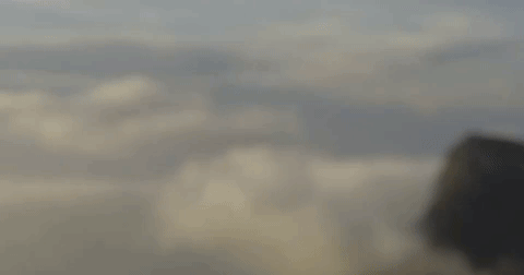 giphy-15.gif