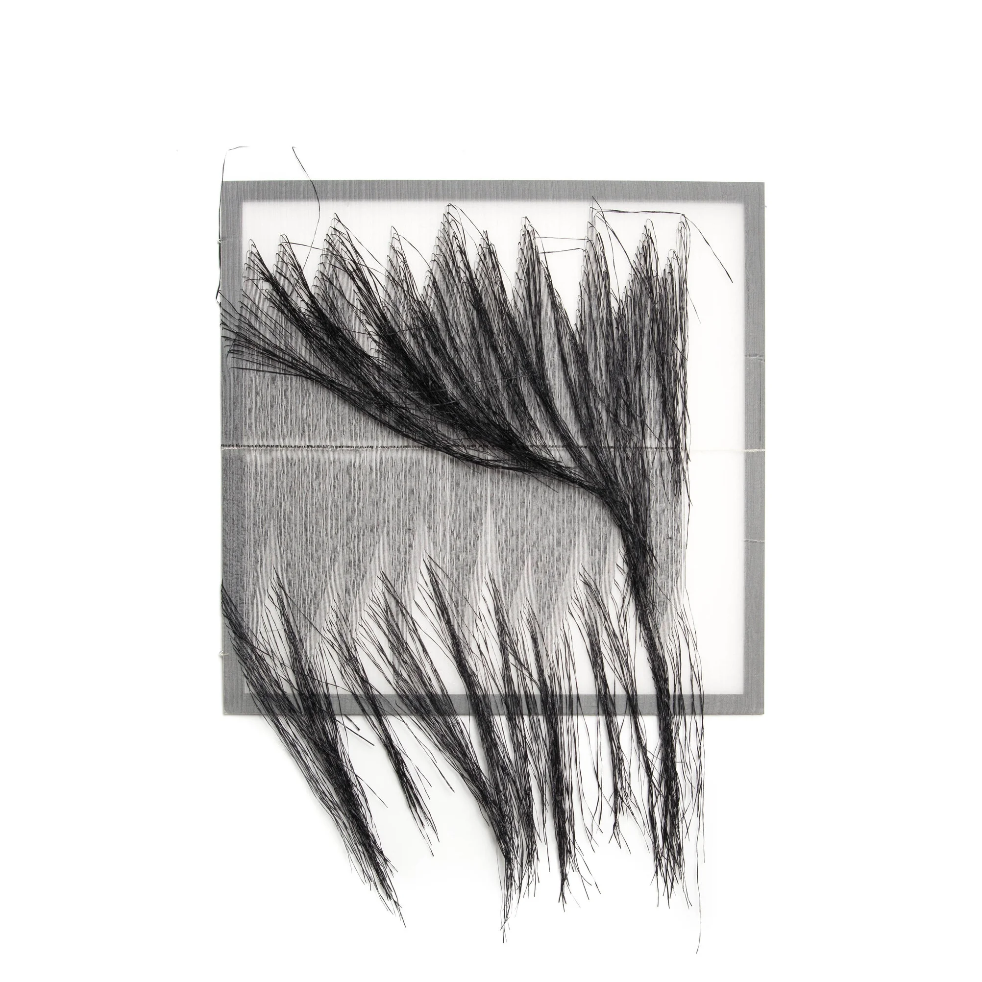 Black 5.jpg