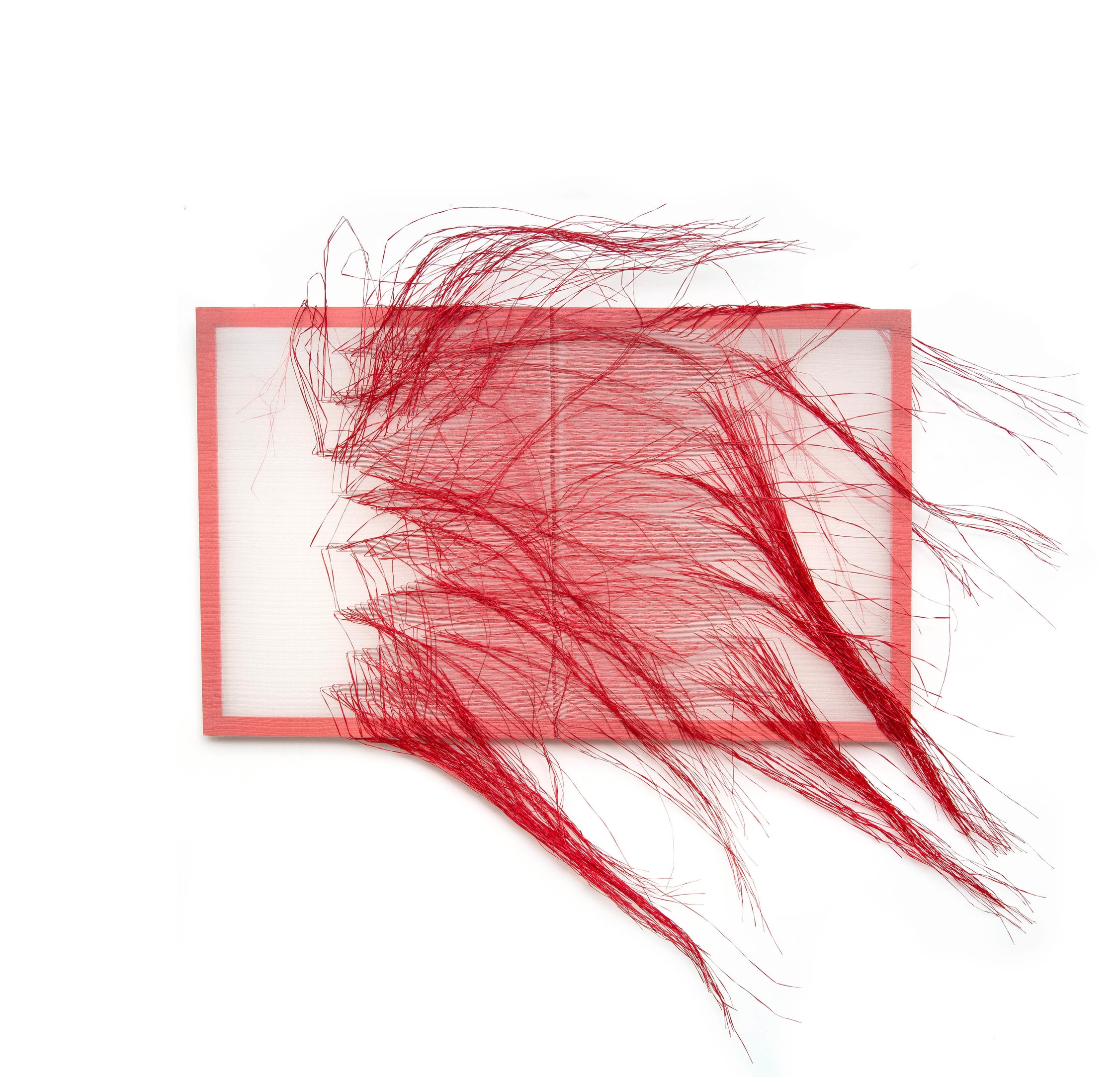 Red 4.jpg