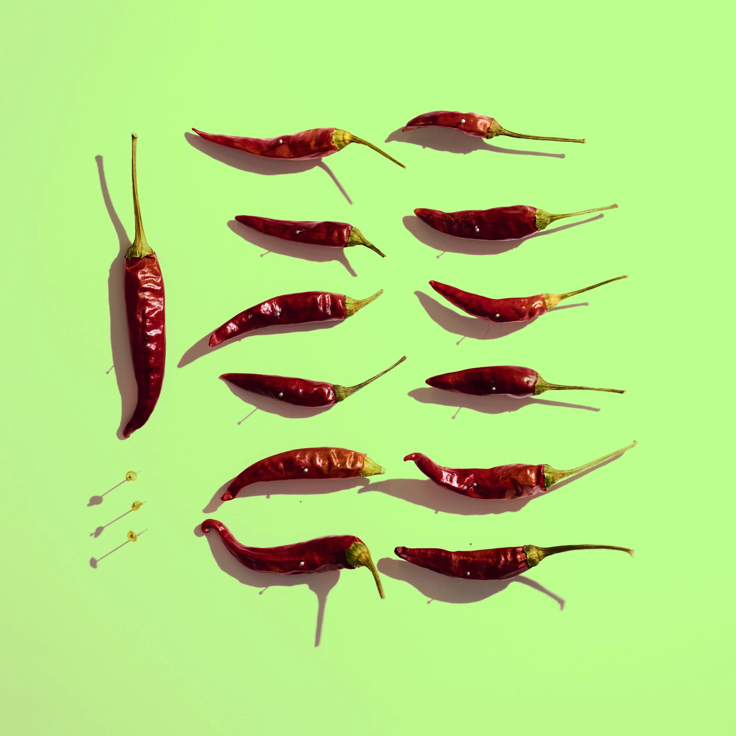 Peppers - 1033 - Green.jpg