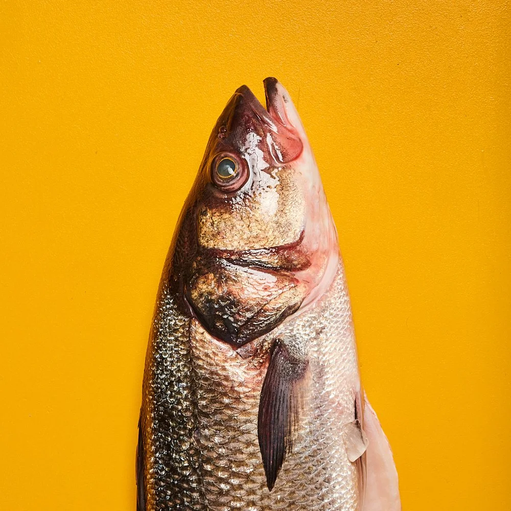 DSC_1097 1.jpg