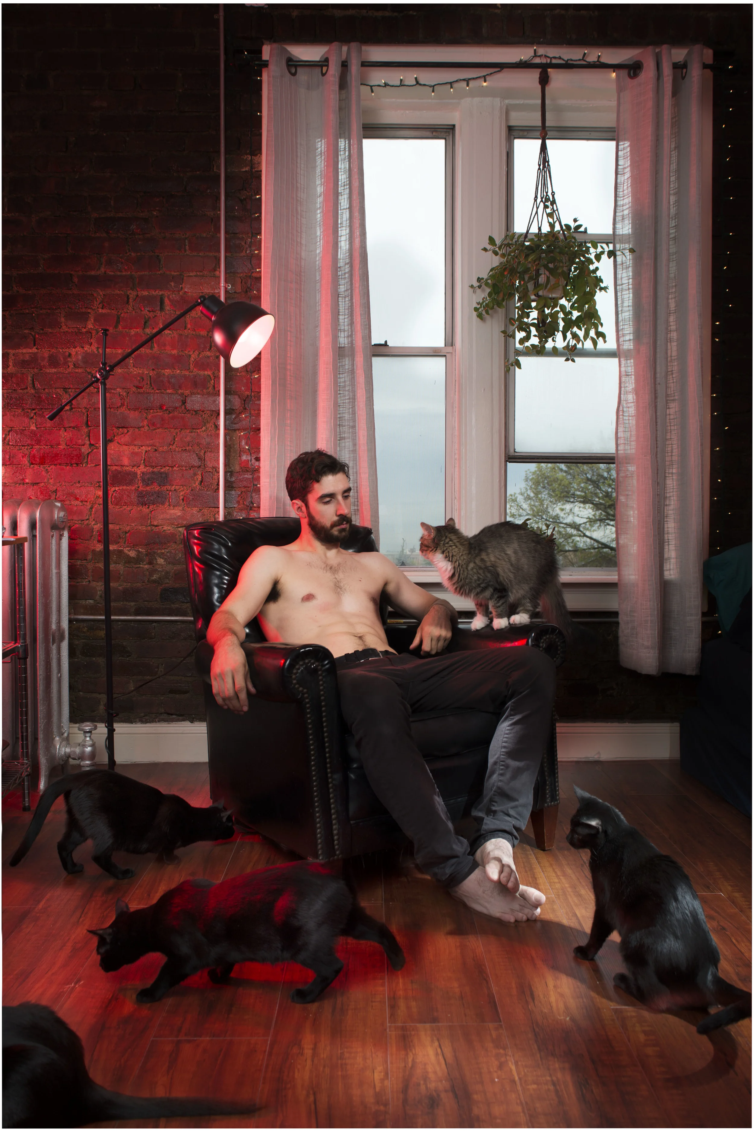 PETA Approved.jpg