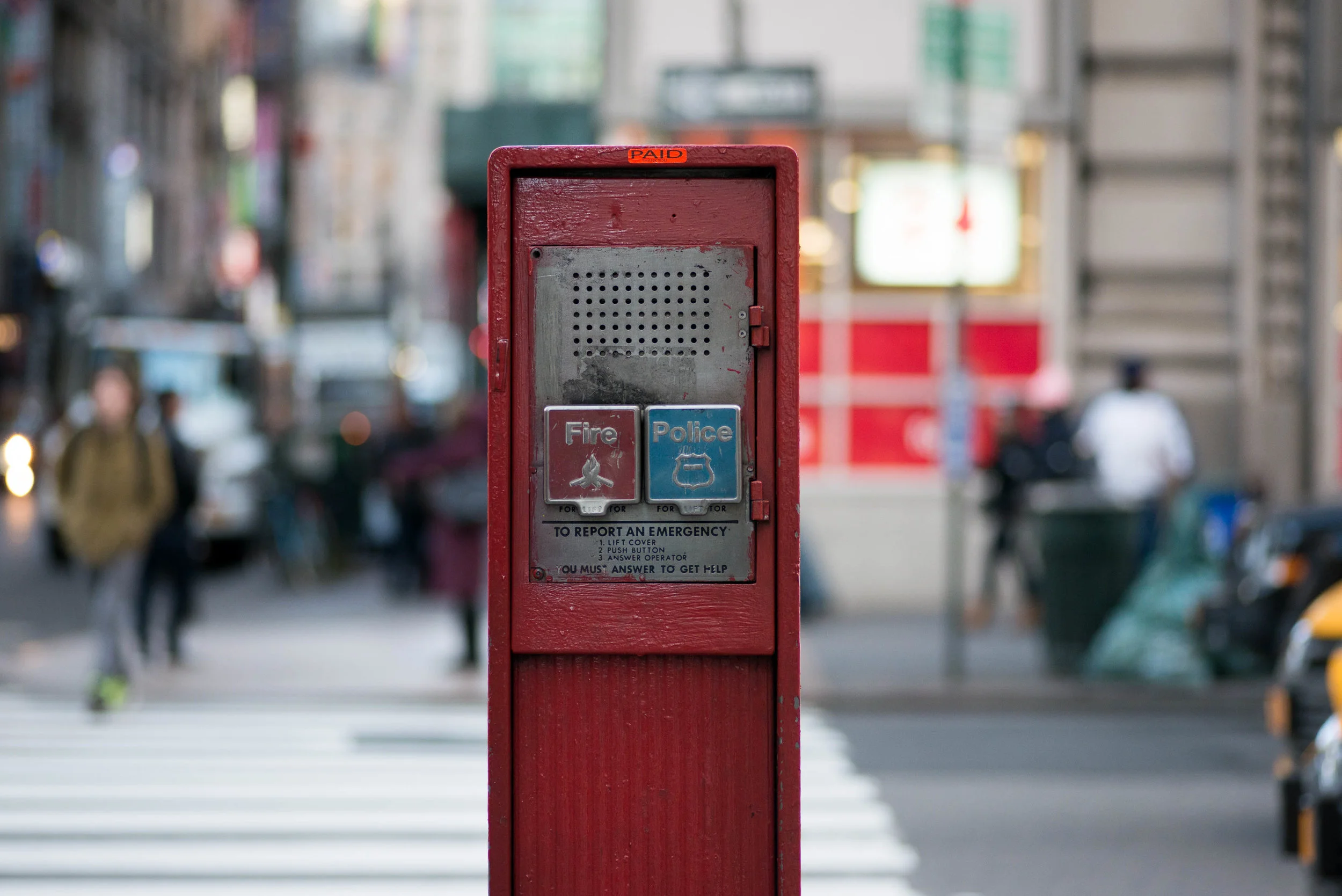 _DSC3783.jpg