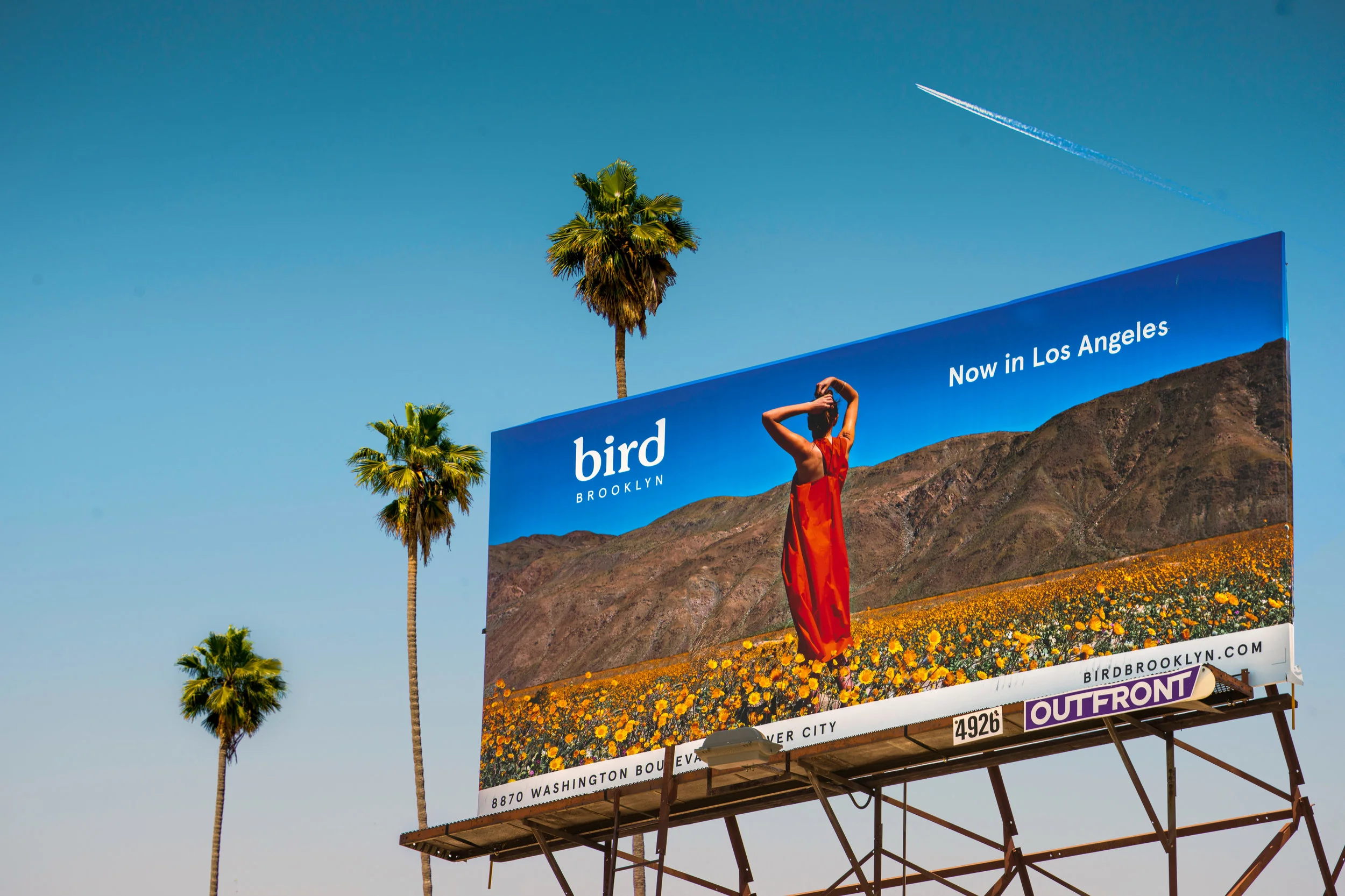 Bird Brooklyn - Los Angeles