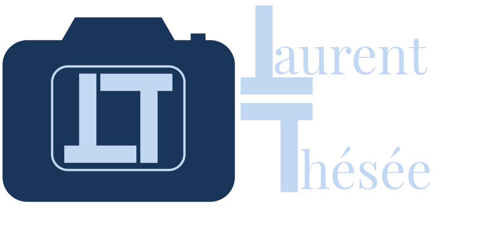 Laurent Thesee