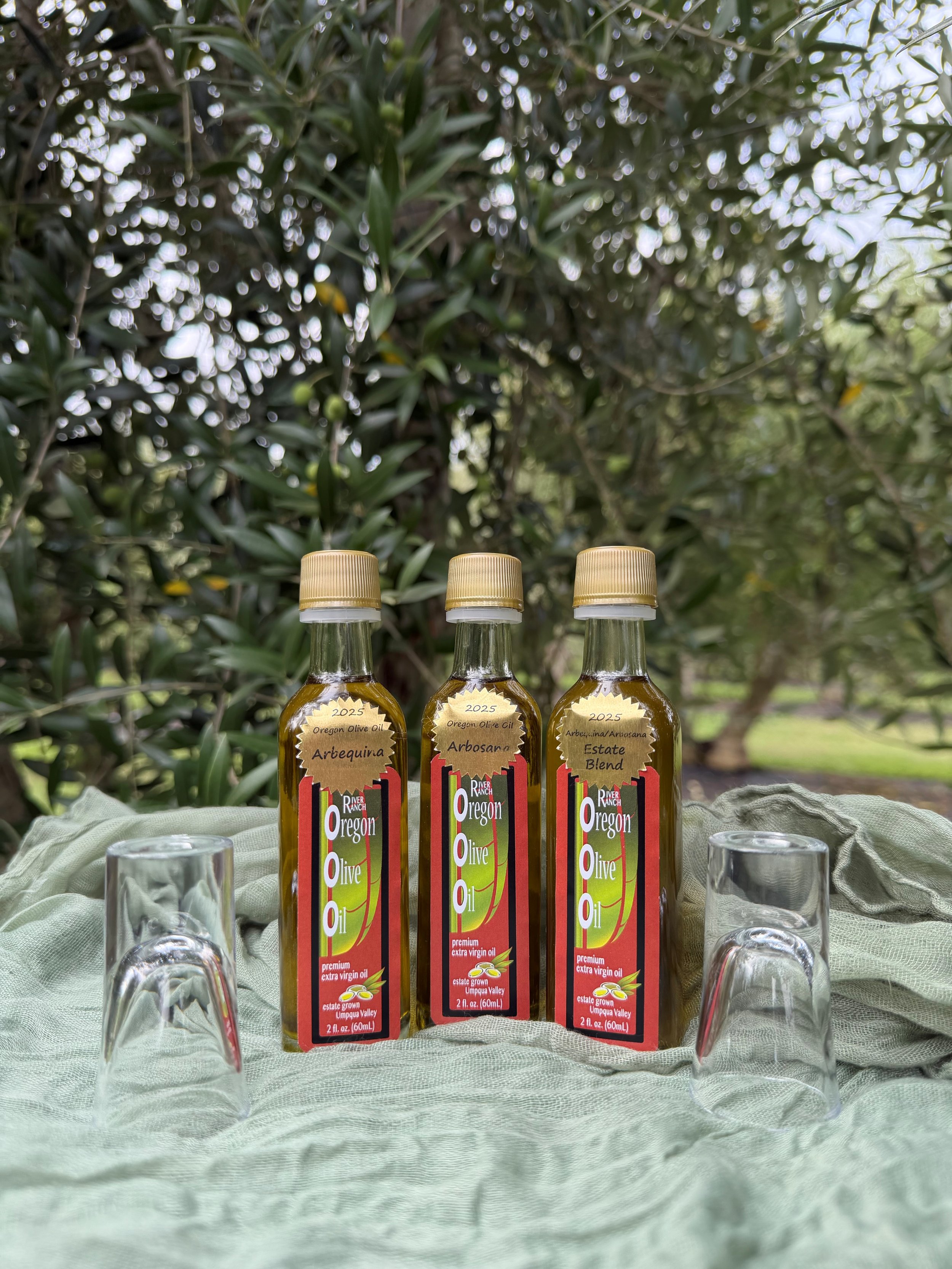 Taste of RR for the health of it.jpg