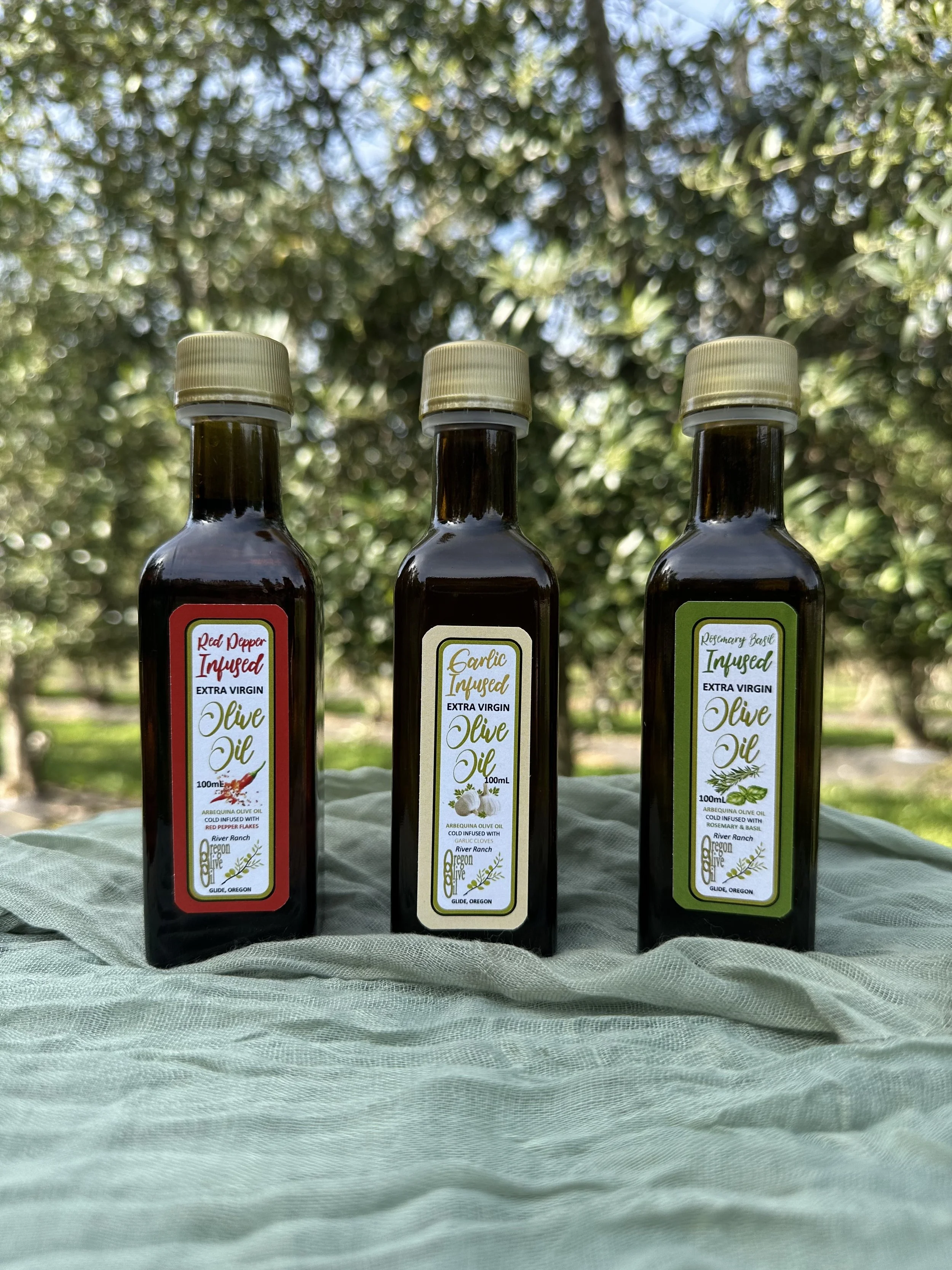 Trio of Choice.jpeg