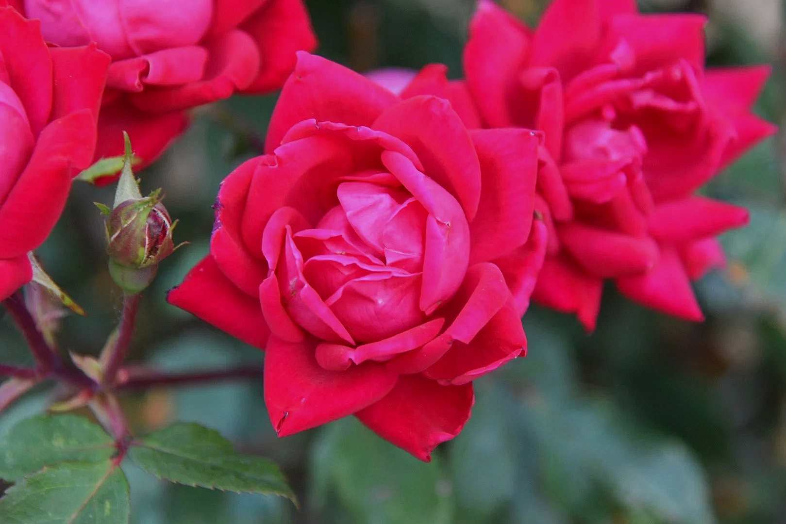 DSC_4178.png