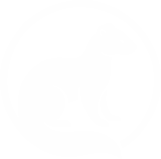 A white lizard inside a black circle with a white outline.