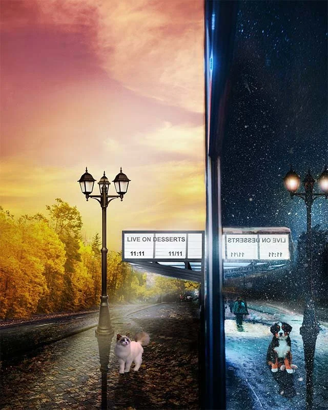 Surreal Opposites  
Unique Digital Artwork