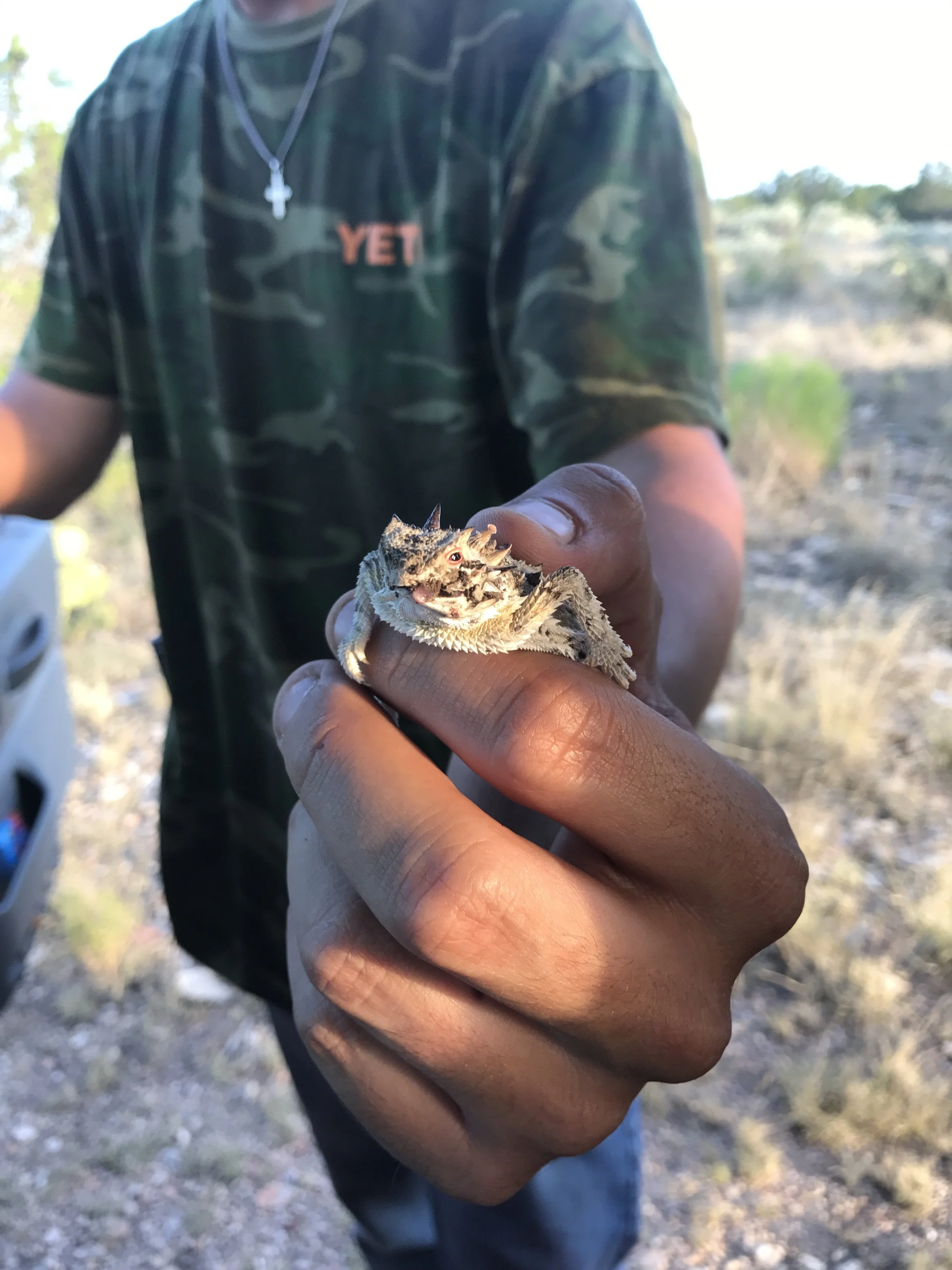 A person holding a small, spiky, lizard with rough textured skin and a prominent eye, outdoors with a blurred natural background.
