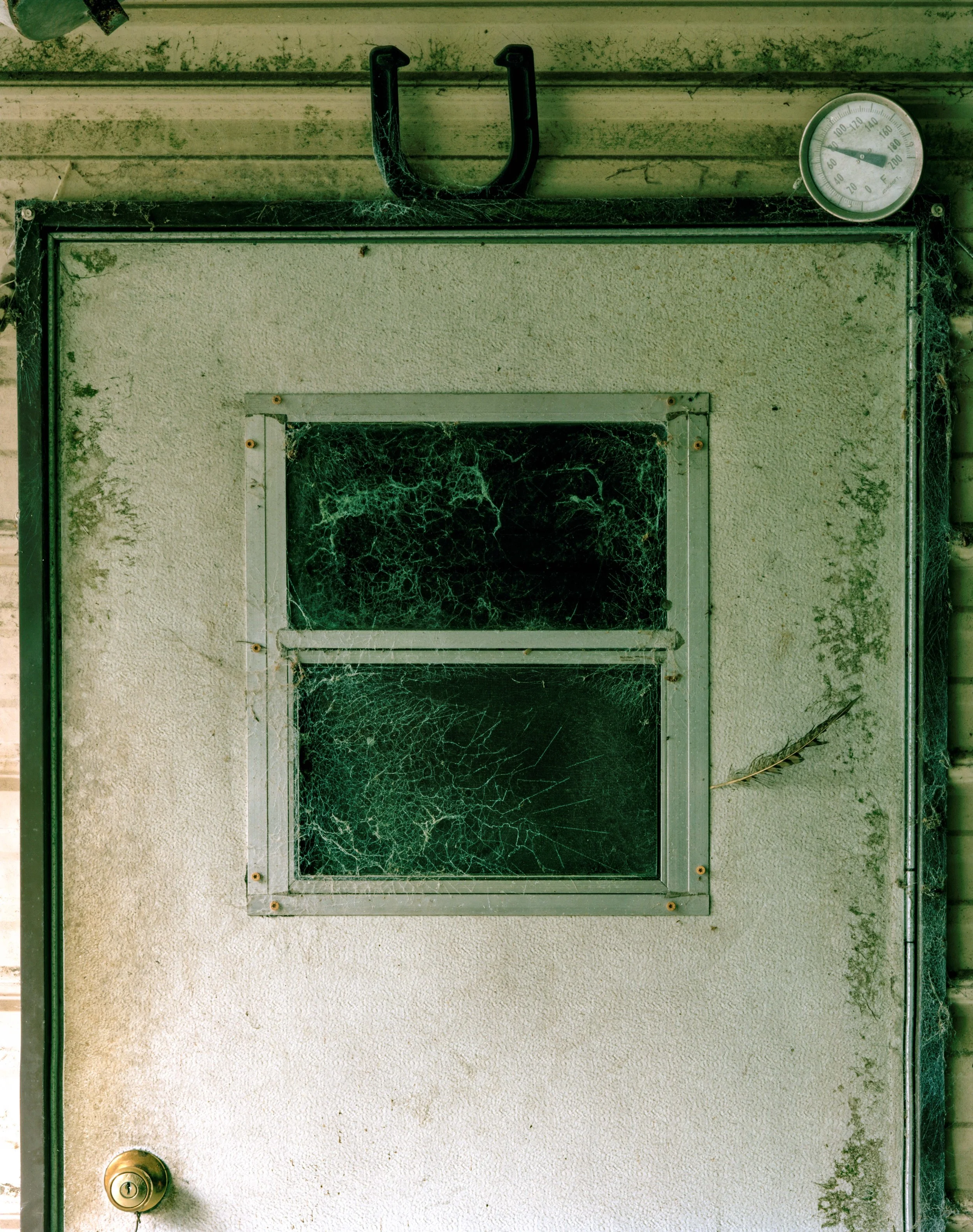 Website Image-17.jpg