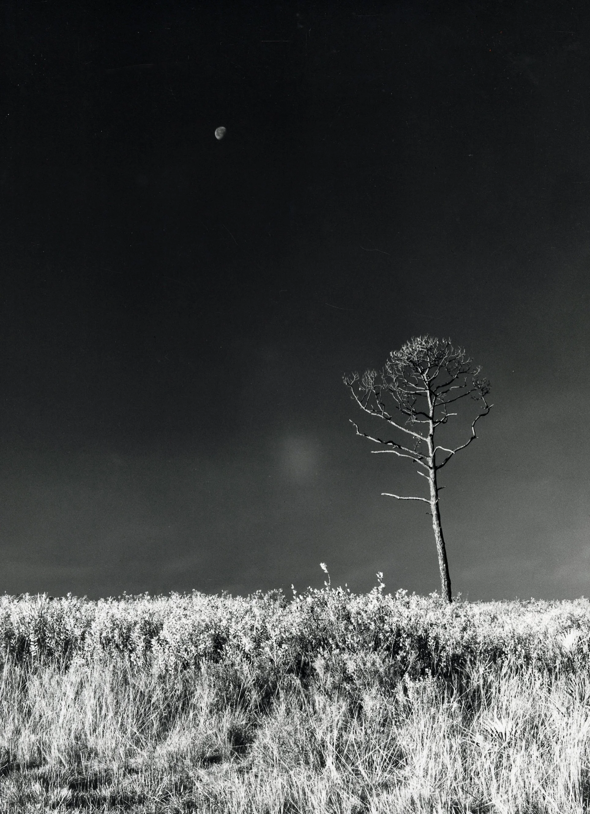 B+W IR Moon-1.jpg