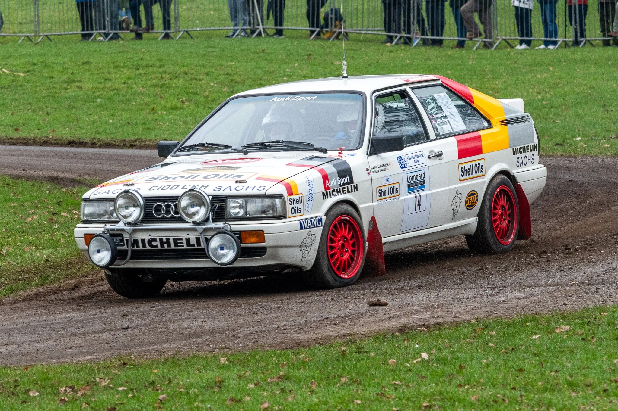 DSC_0349.jpg