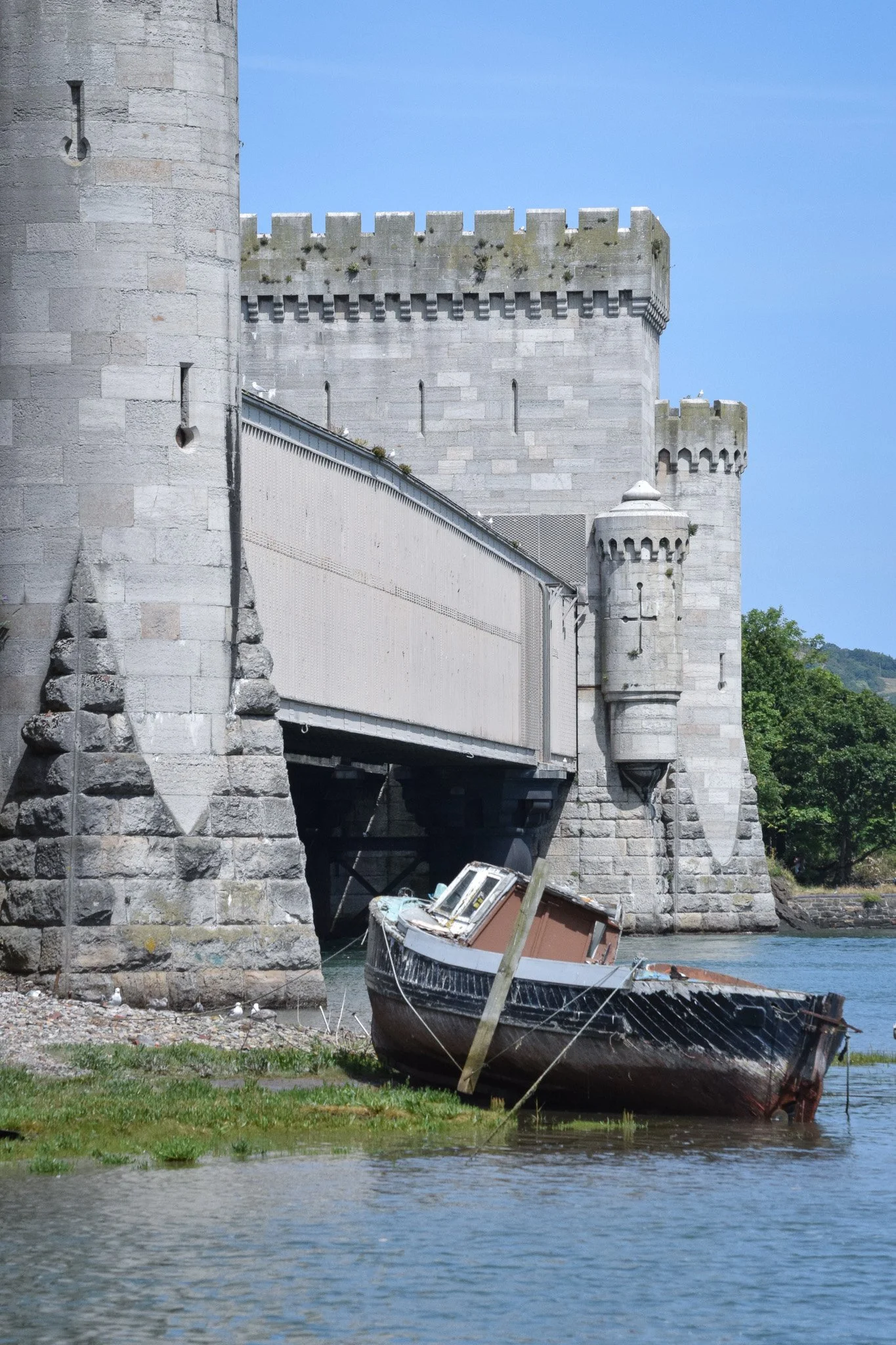 DSC_0982.jpg