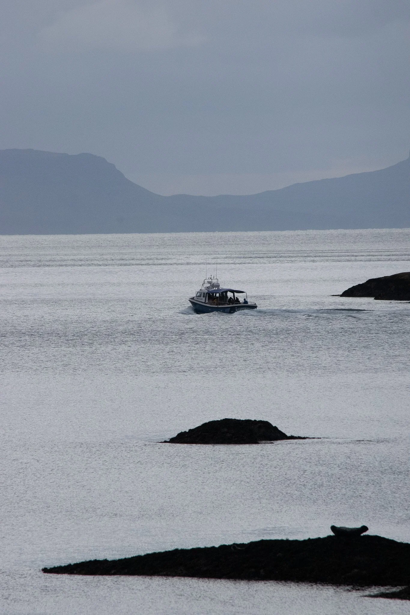 DSC_0483.jpg