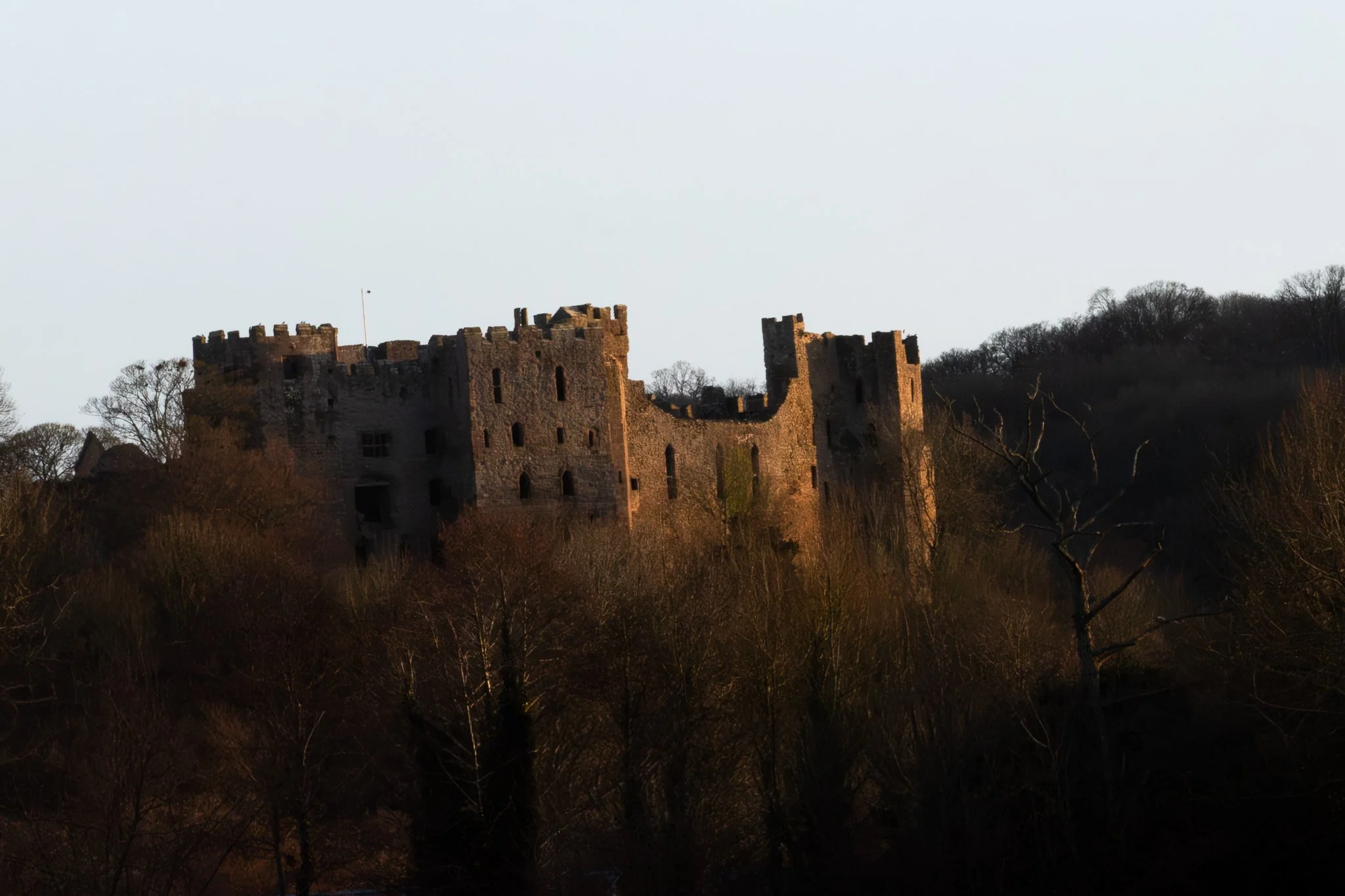 DSC_0014.jpg
