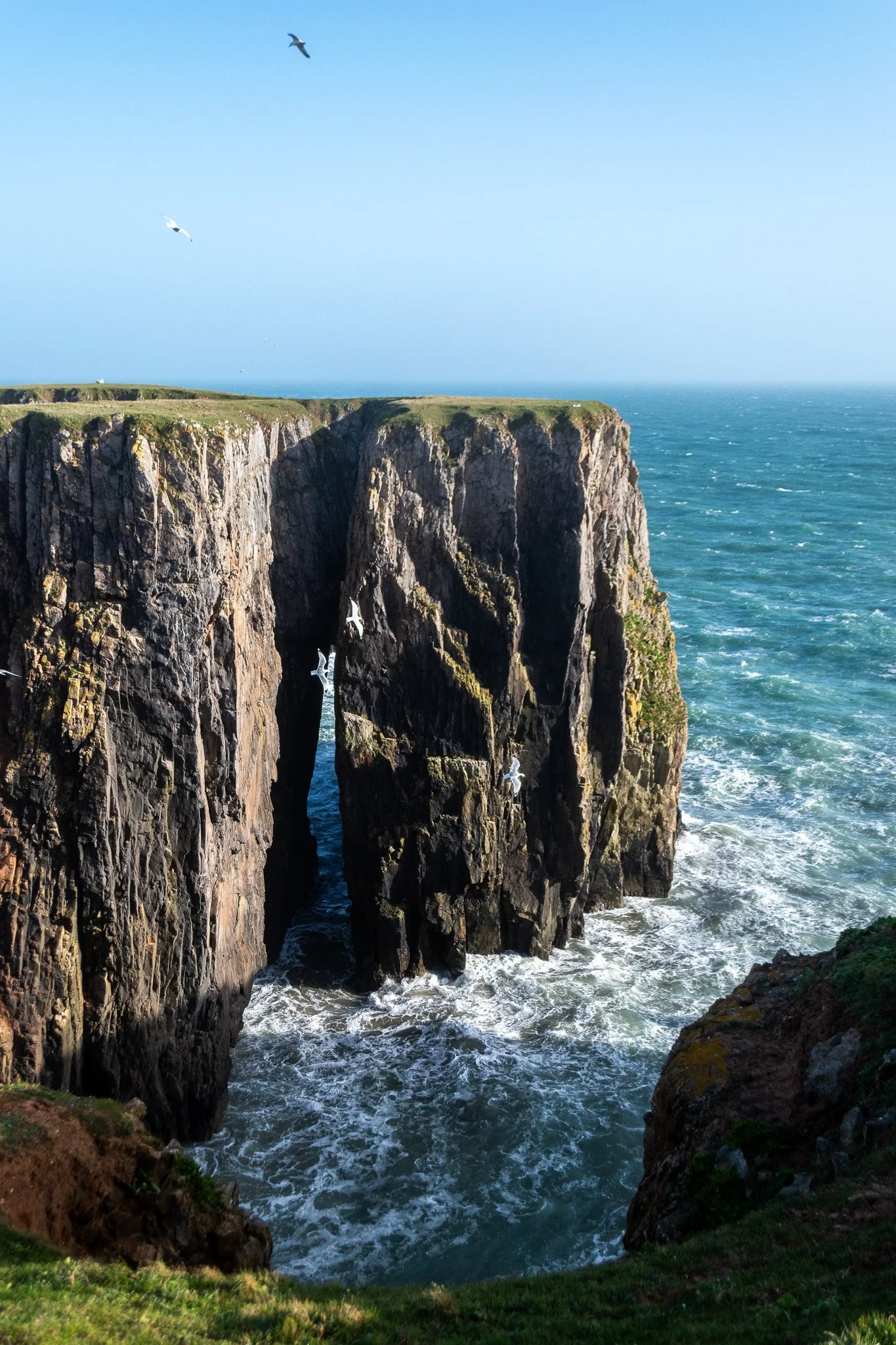 DSC_0891.jpg