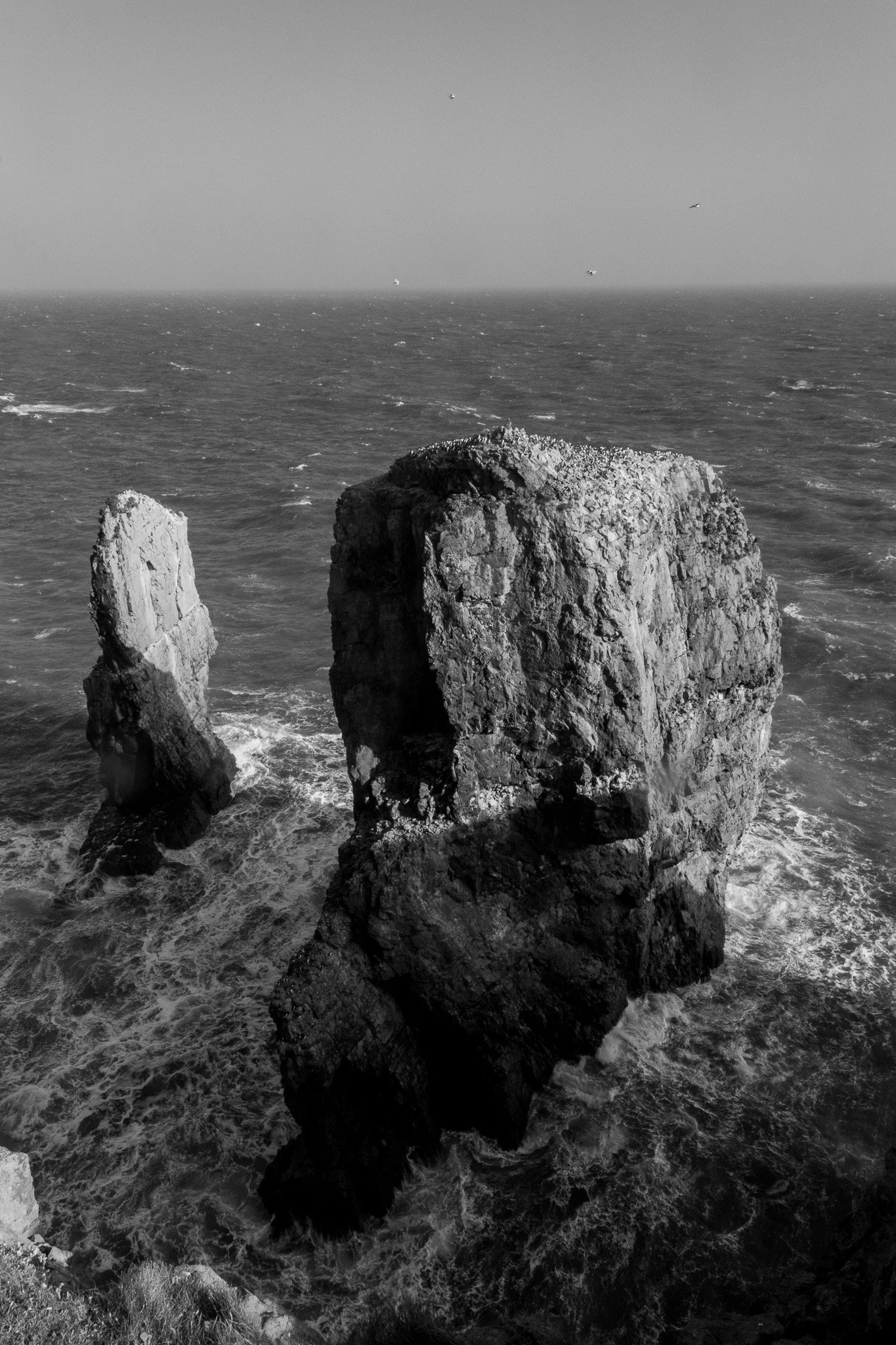 DSC_0690.jpg