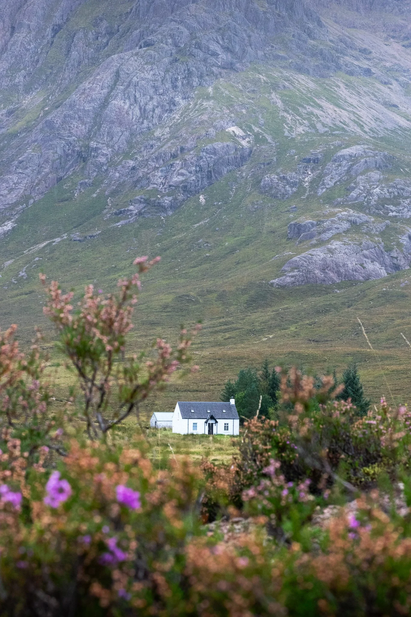 DSC_0099.jpg