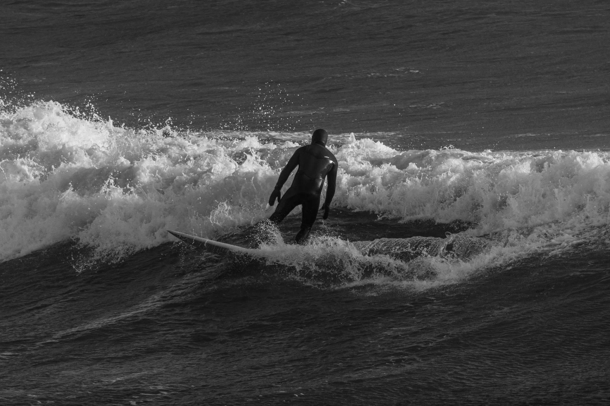DSC_0122.jpg