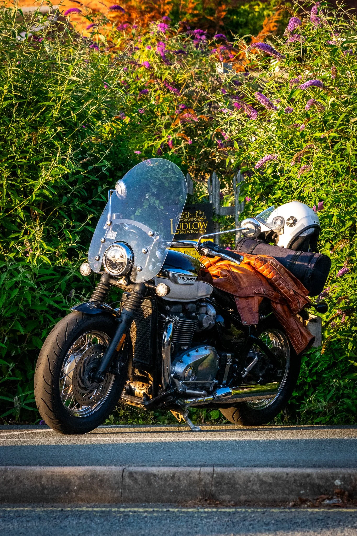 DSC_0012.jpg