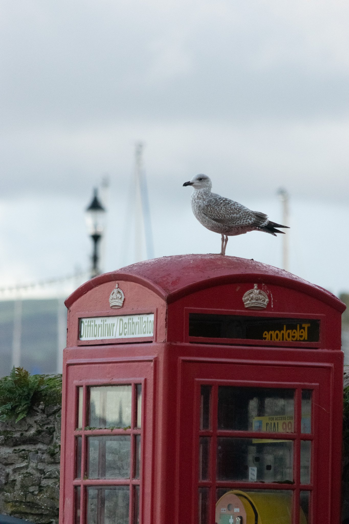 DSC_0005.jpg