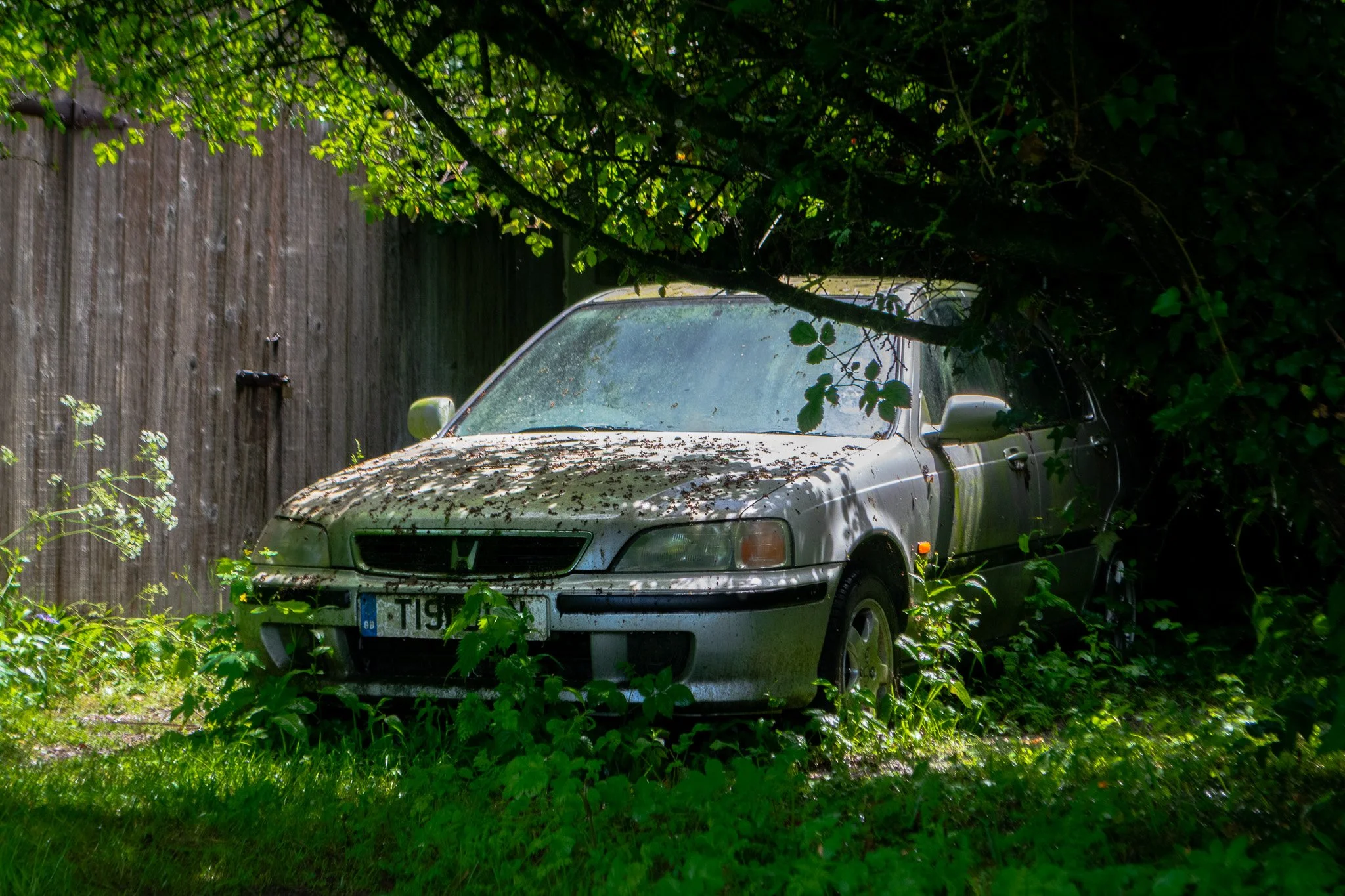 DSC_0082.jpg