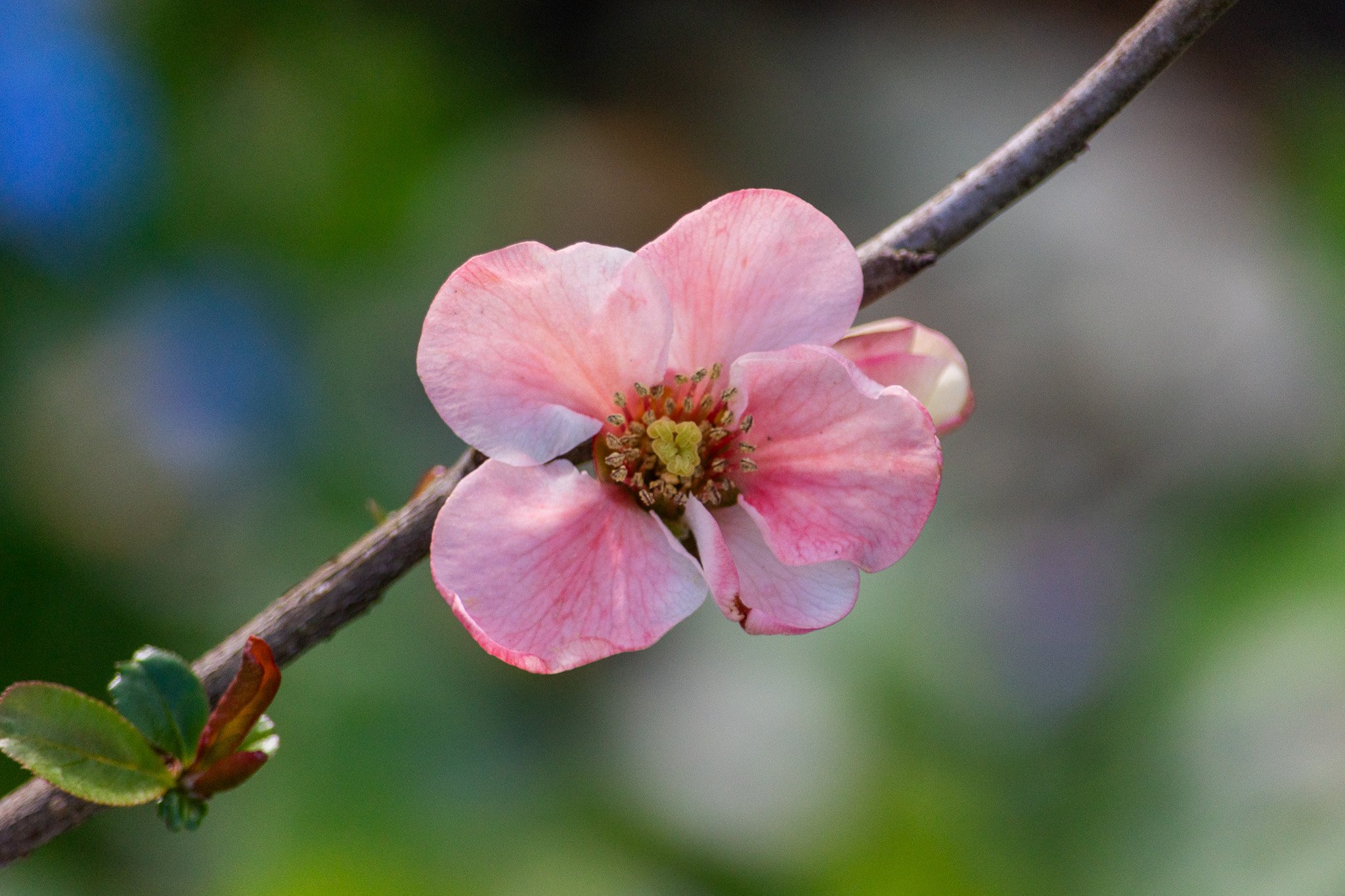 DSC_0379.jpg