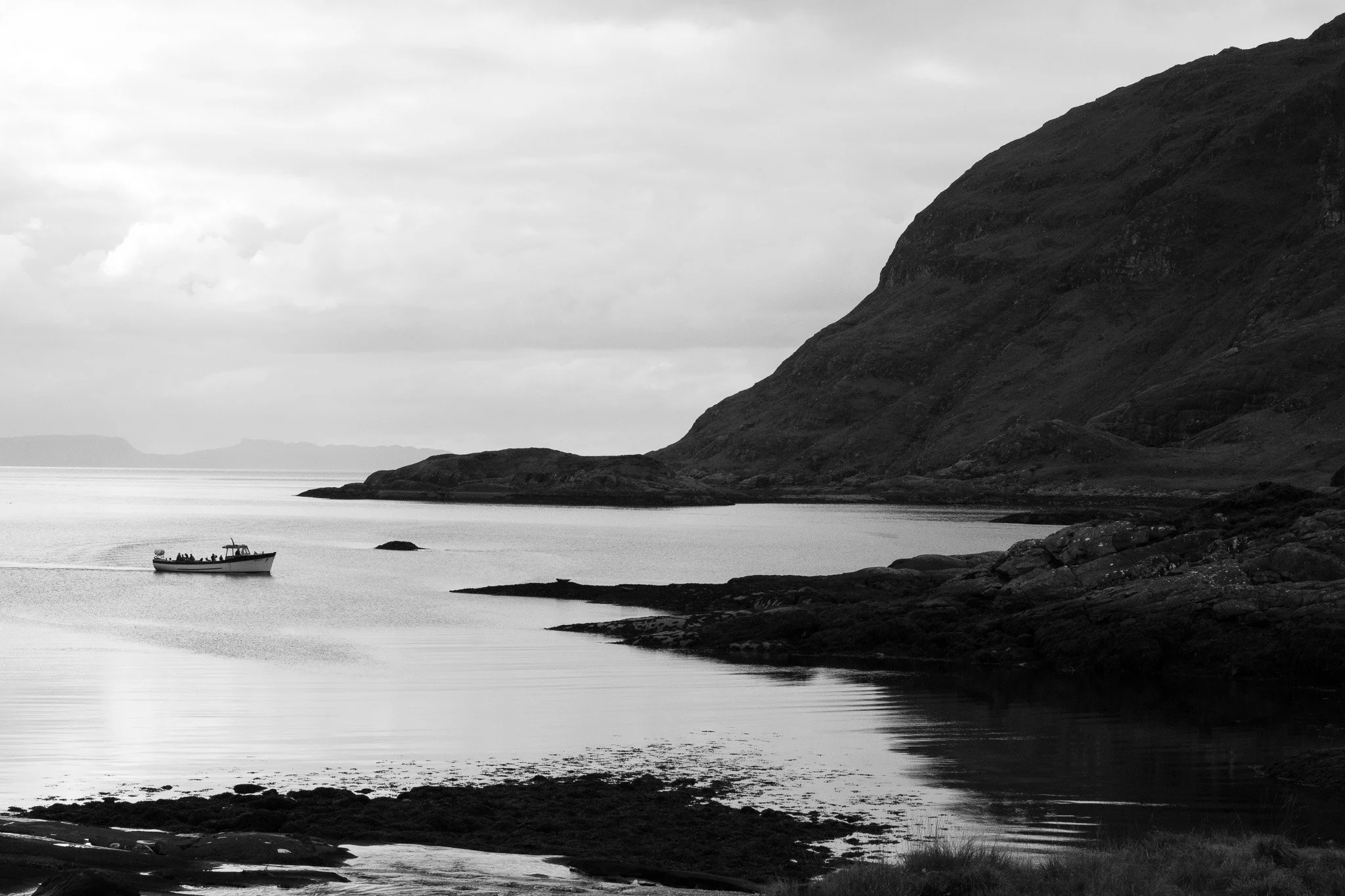 DSC_0500.jpg