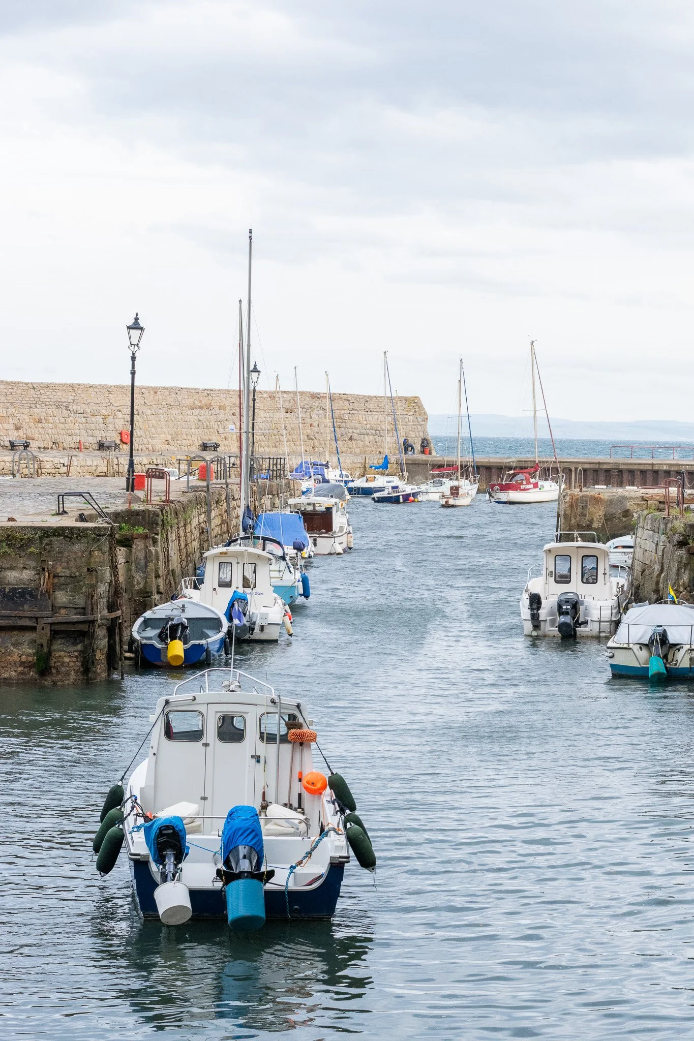 DSC_0778.jpg