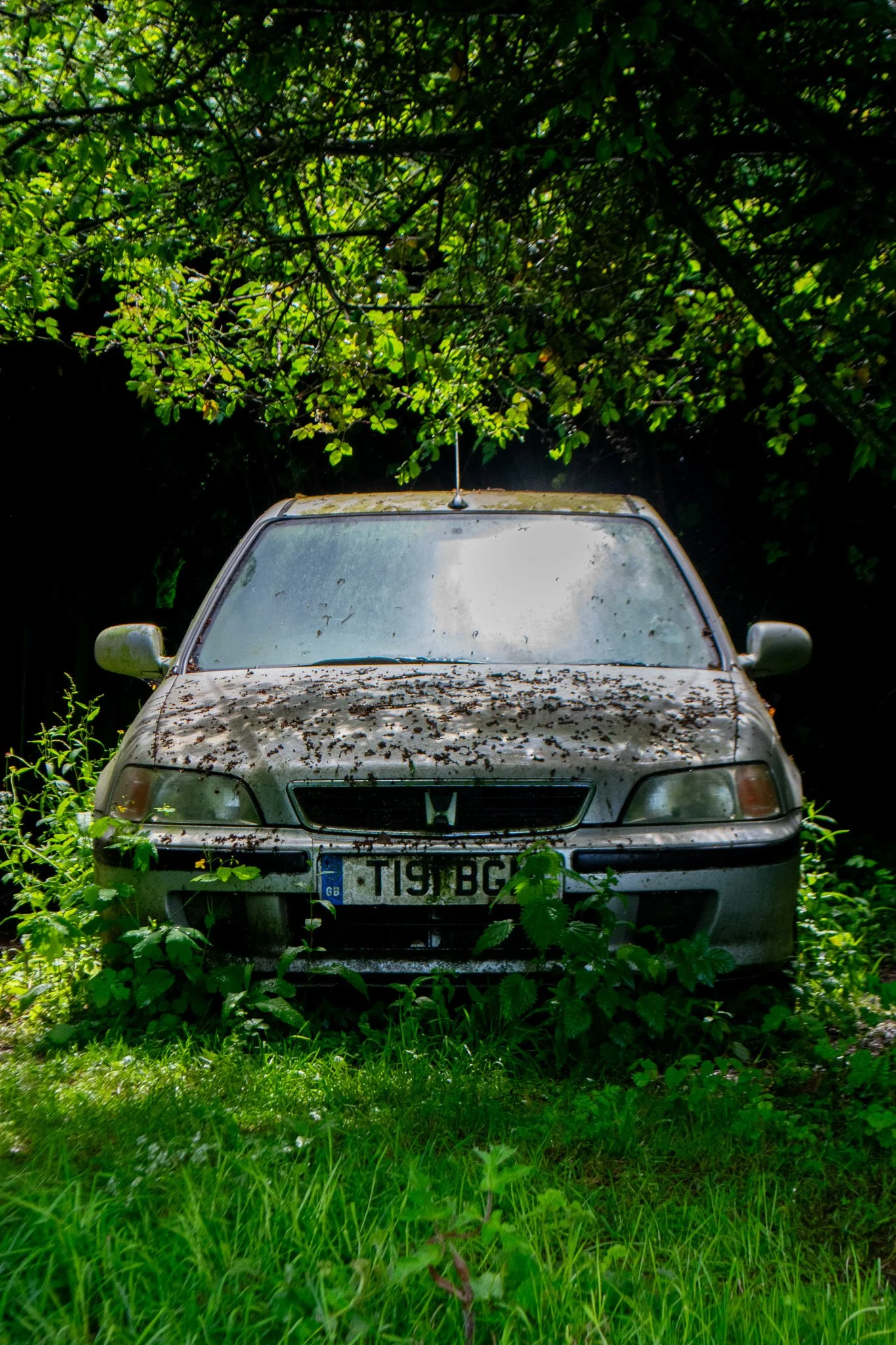 DSC_0107.jpg
