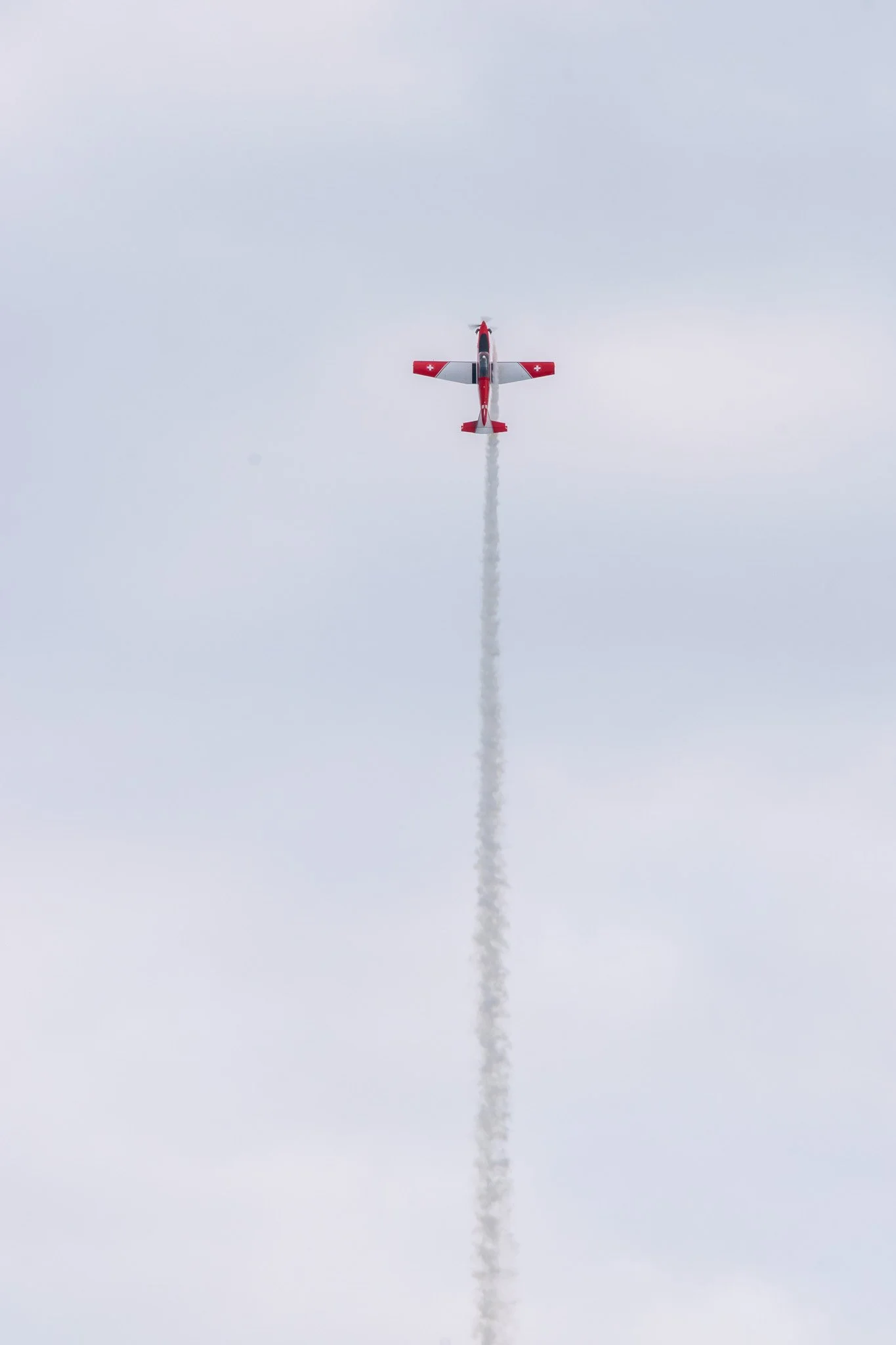 DSC_0040.jpg