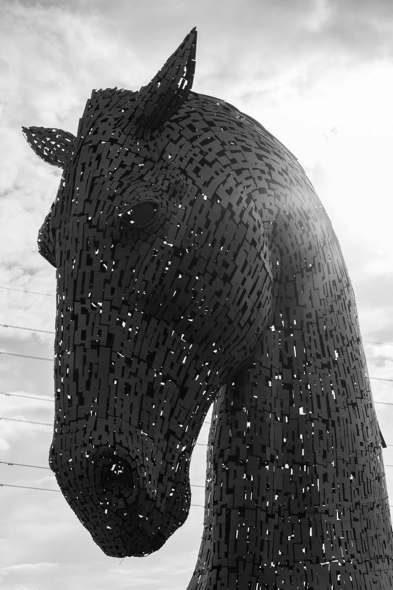 DSC_0106.jpg