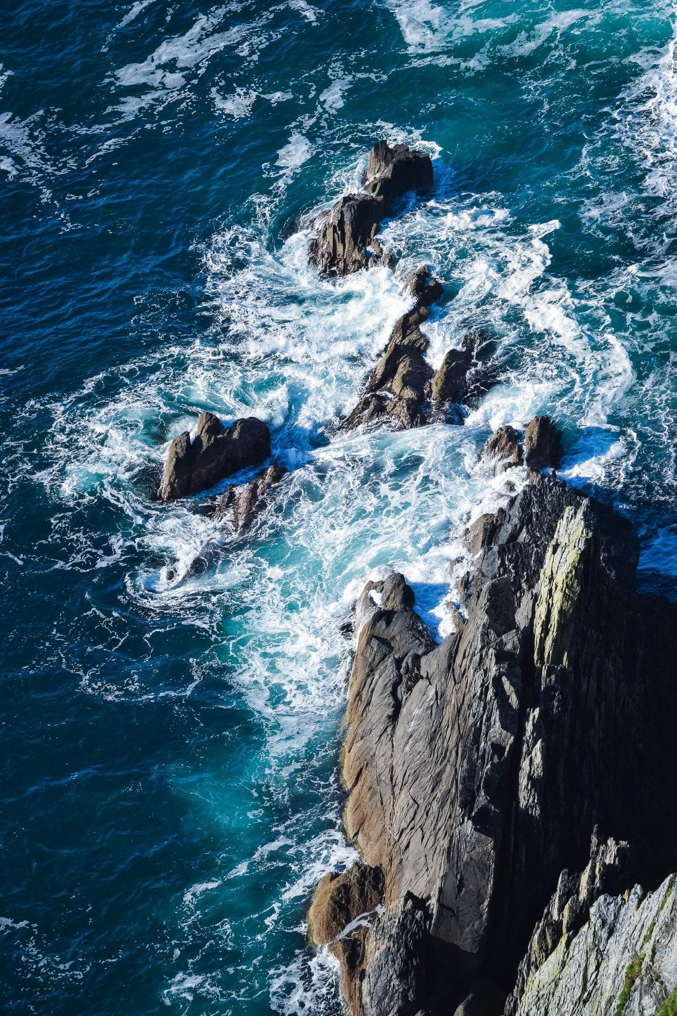 DSC_0129.jpg