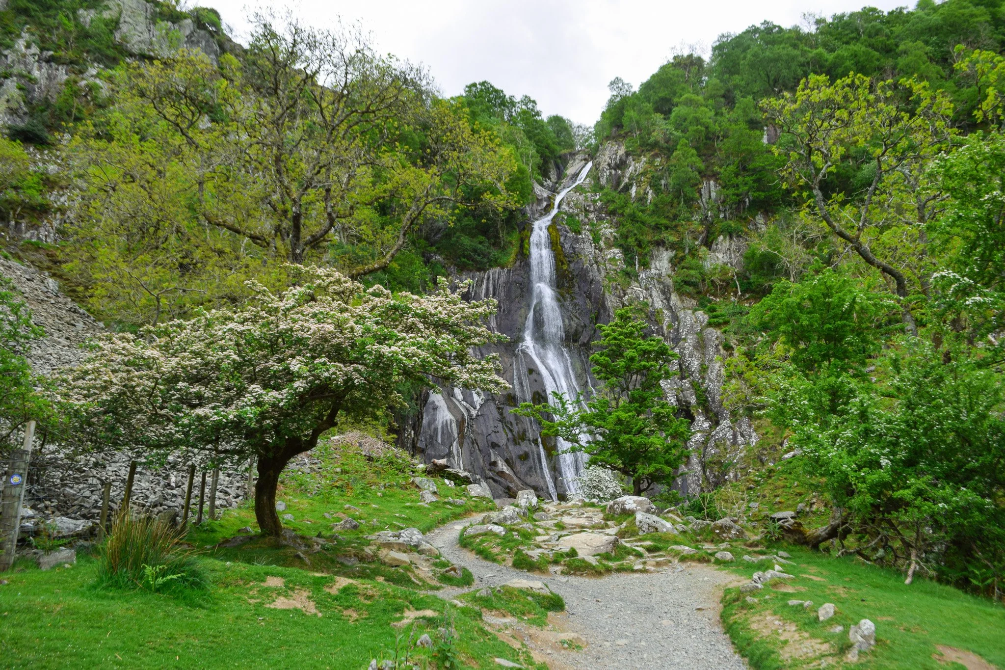 DSC_0375.jpg