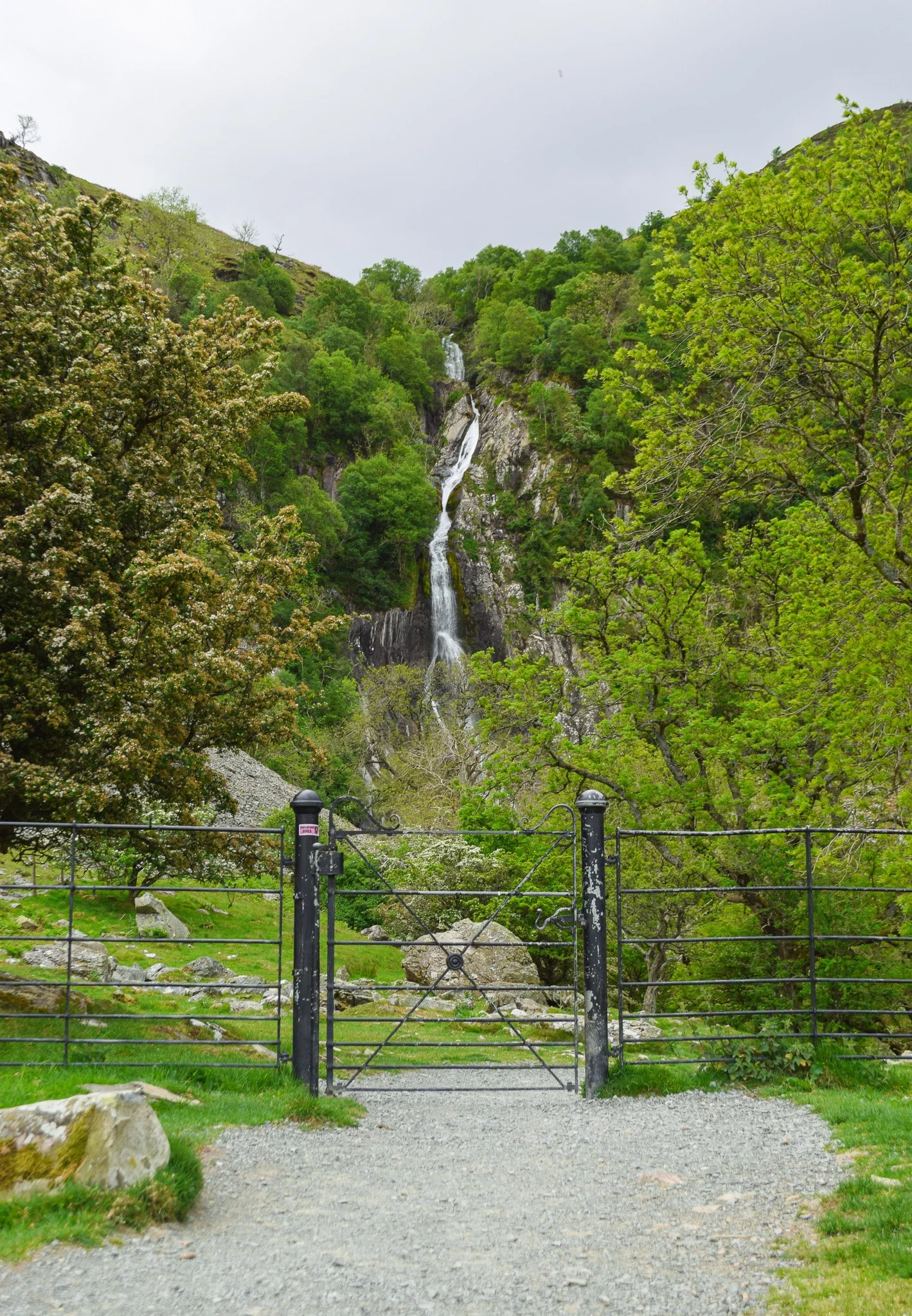 DSC_0304.jpg