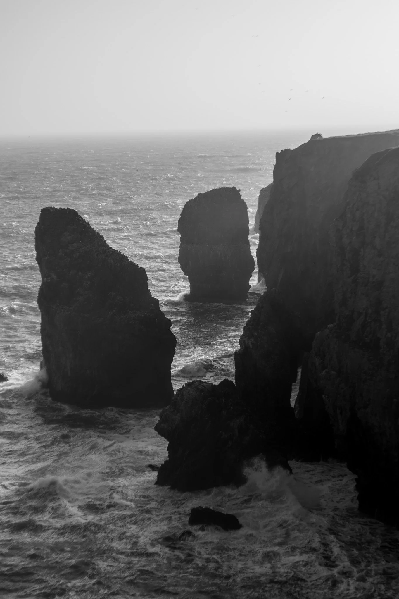 DSC_0921.jpg