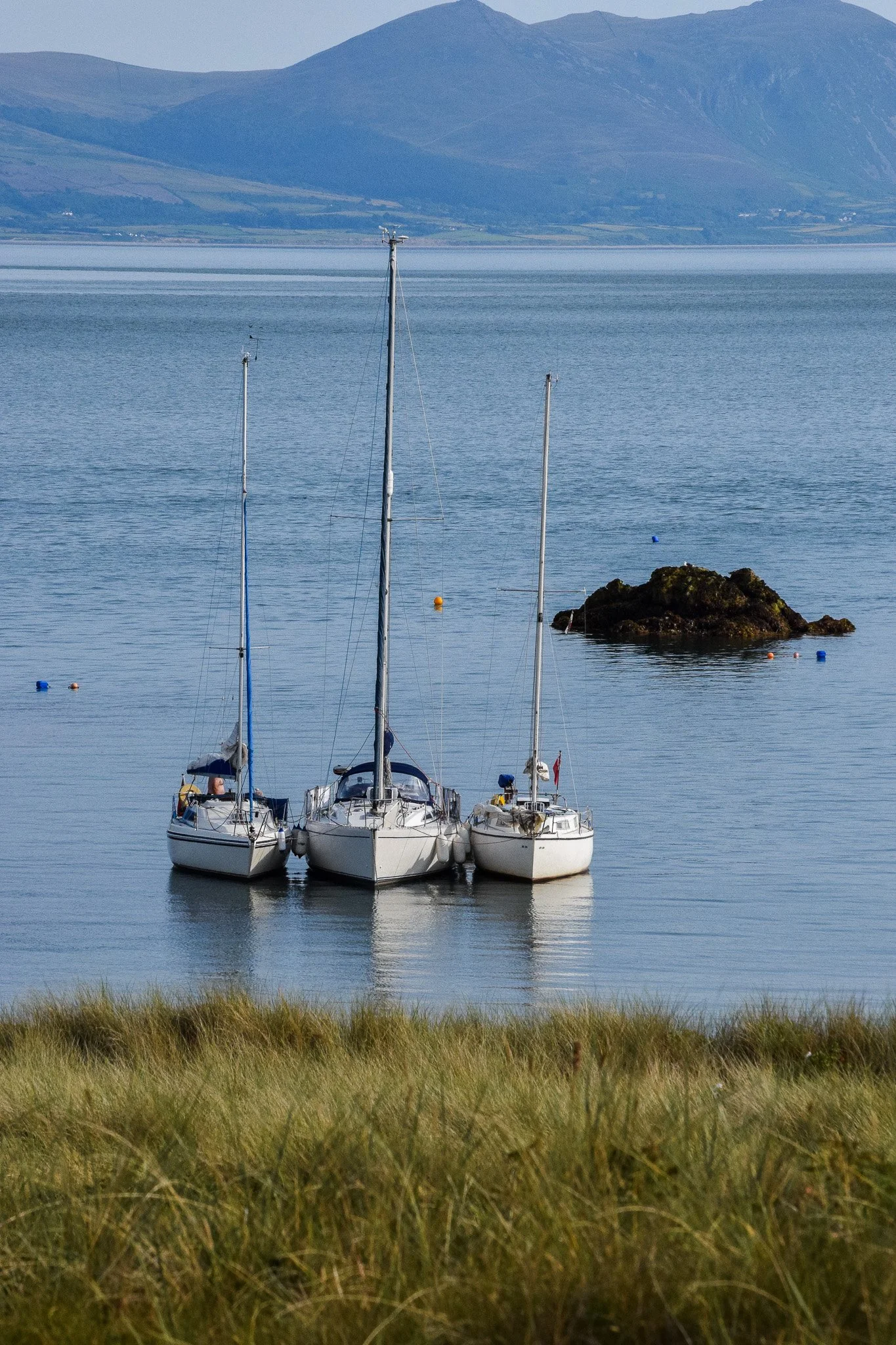 DSC_0083.jpg
