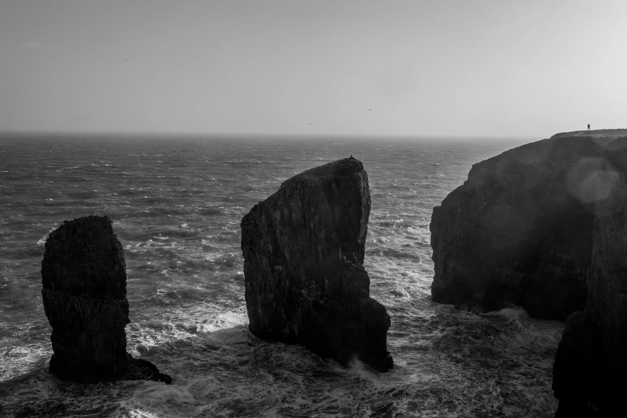 DSC_0742.jpg