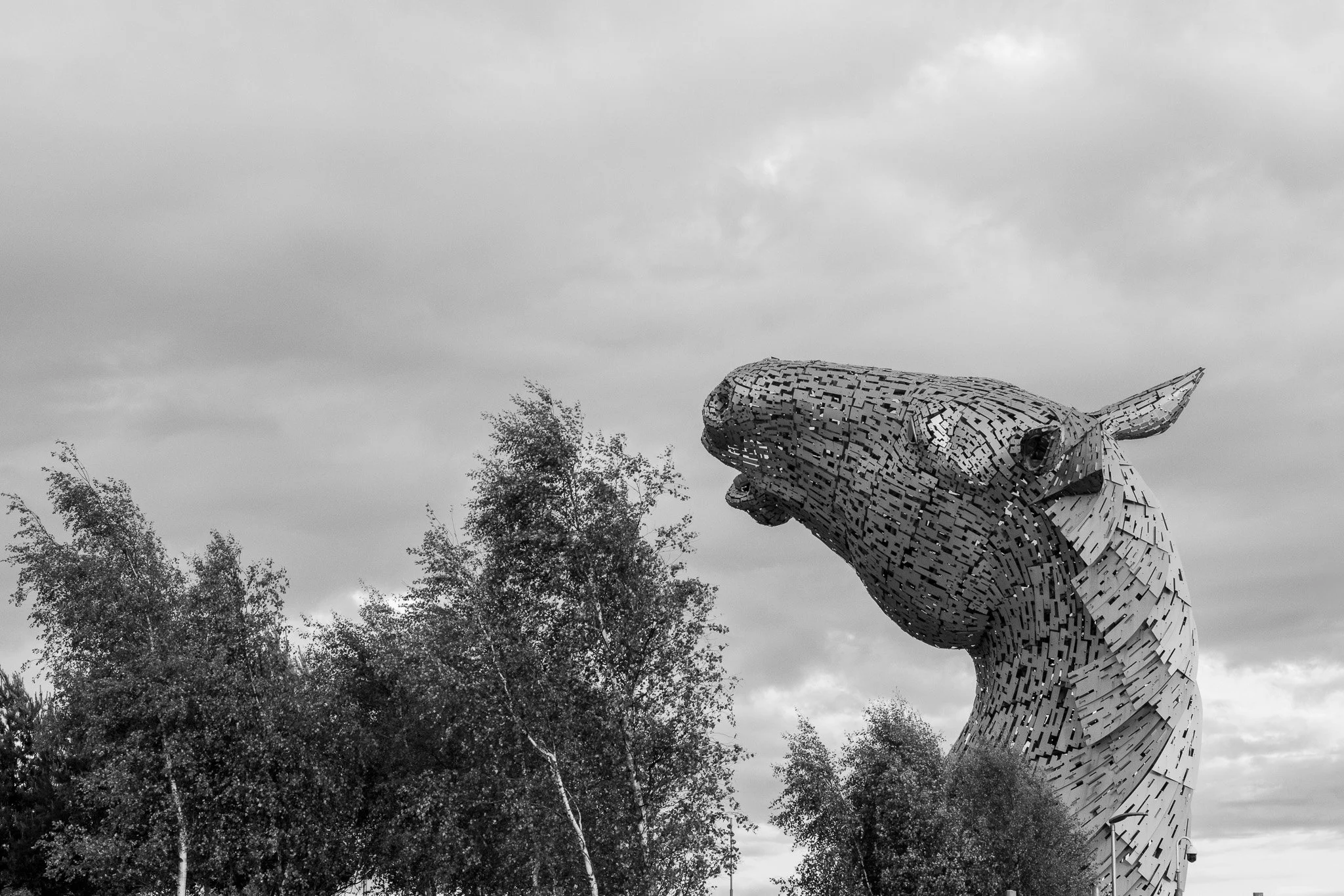 DSC_0475.jpg