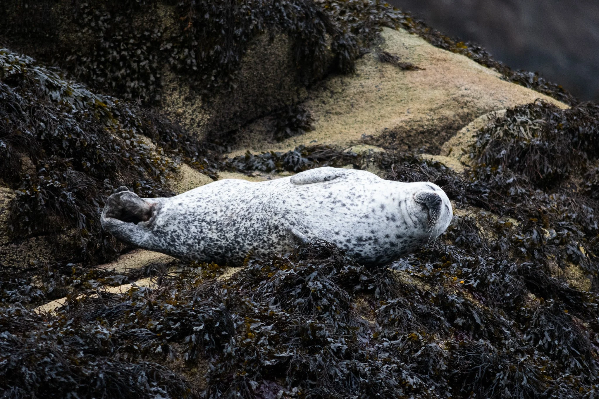 DSC_0332.jpg