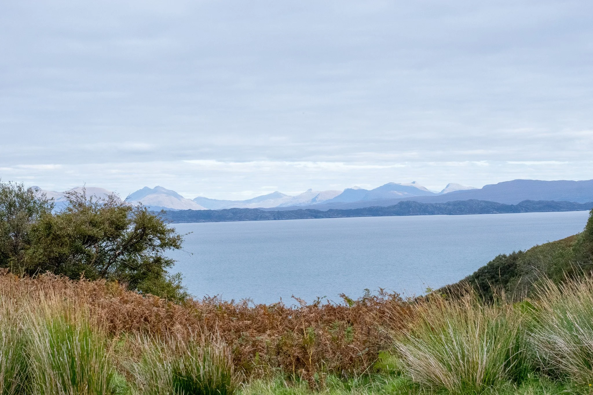 DSC_0756.jpg