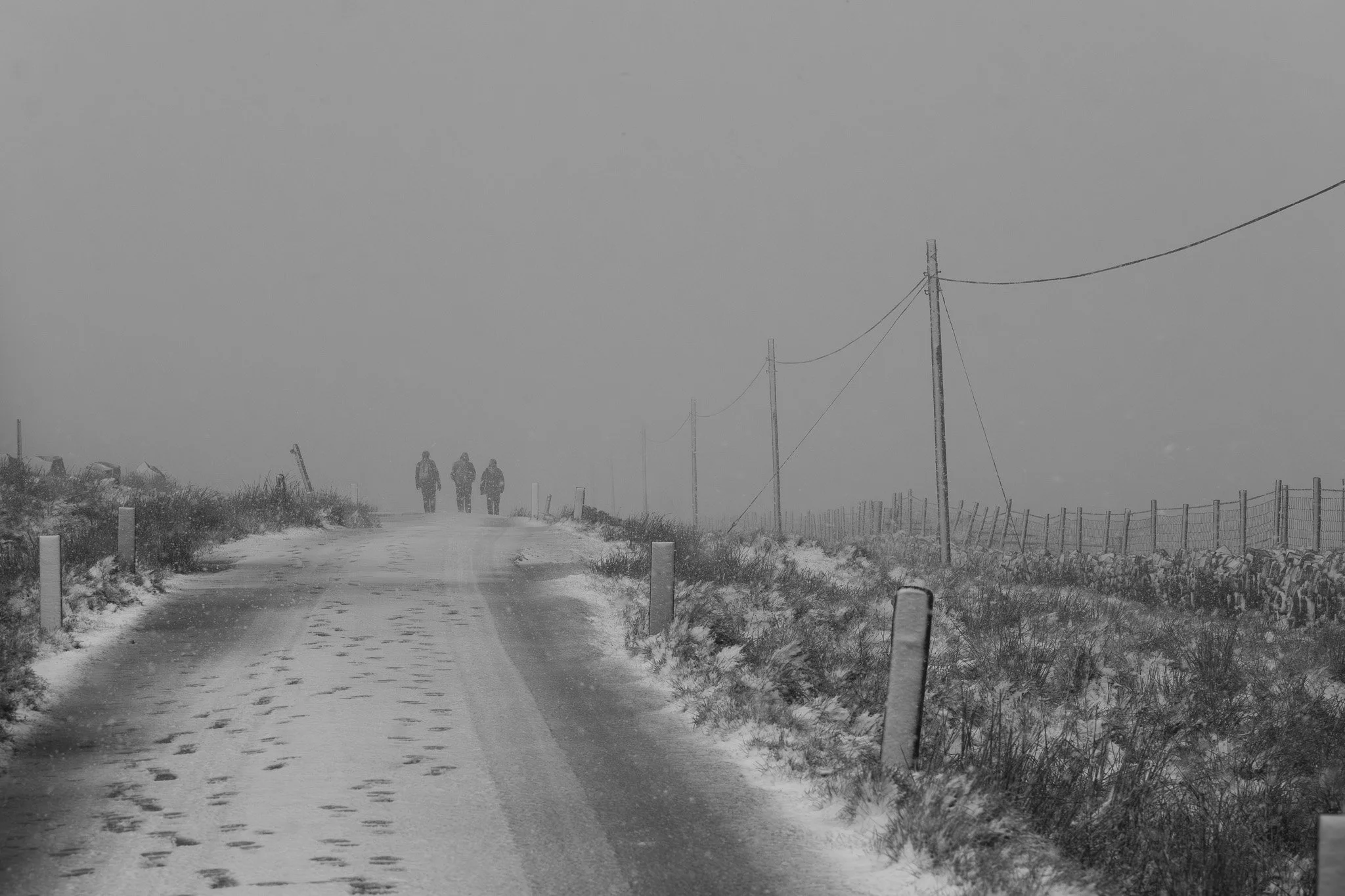 DSC_0479.jpg