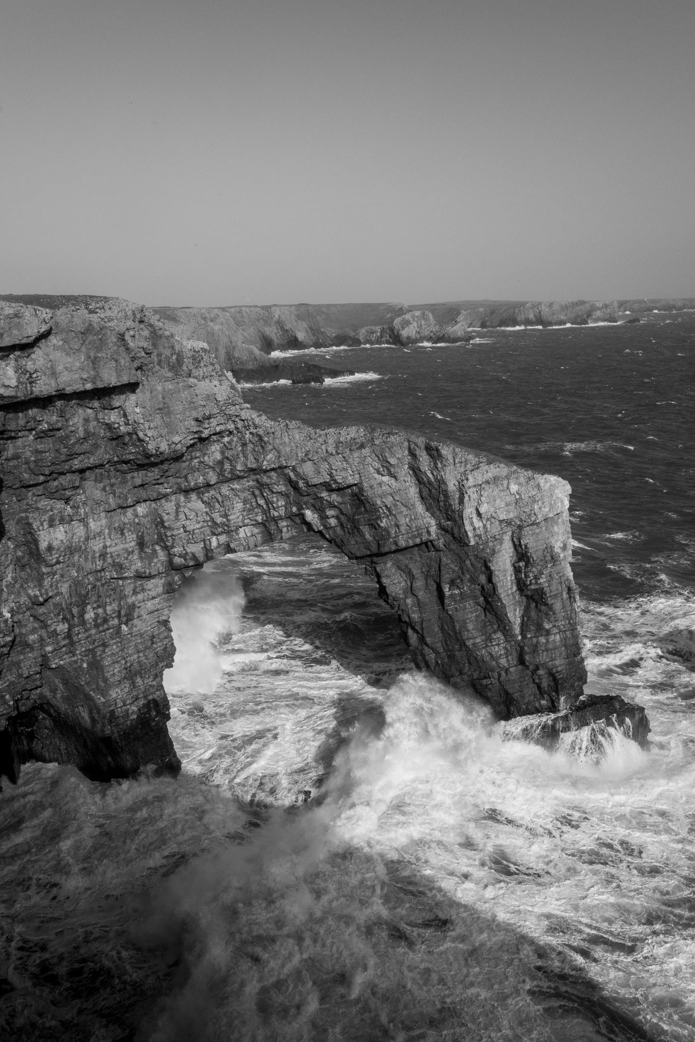 DSC_0595.jpg