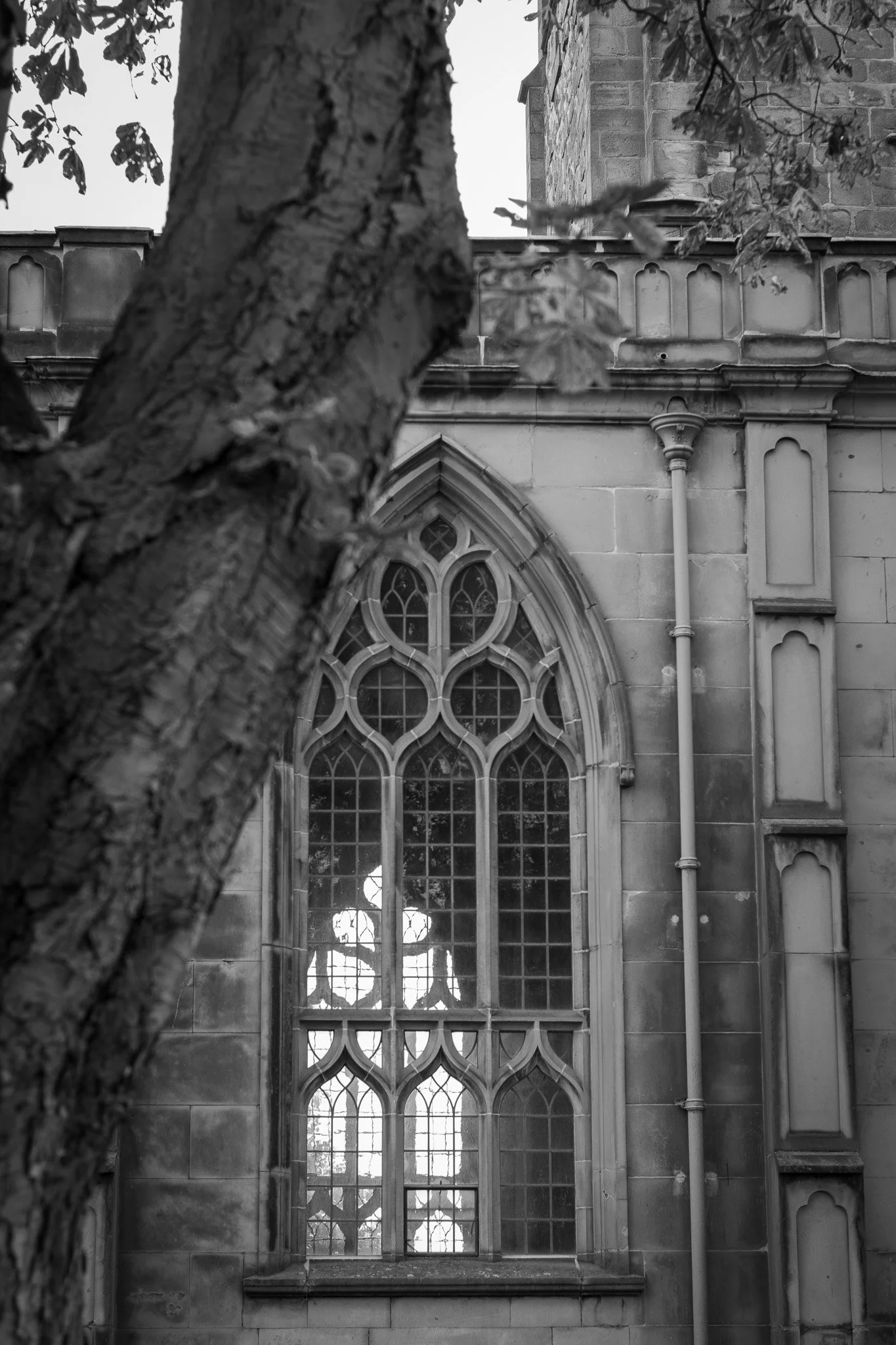 DSC_0425.jpg