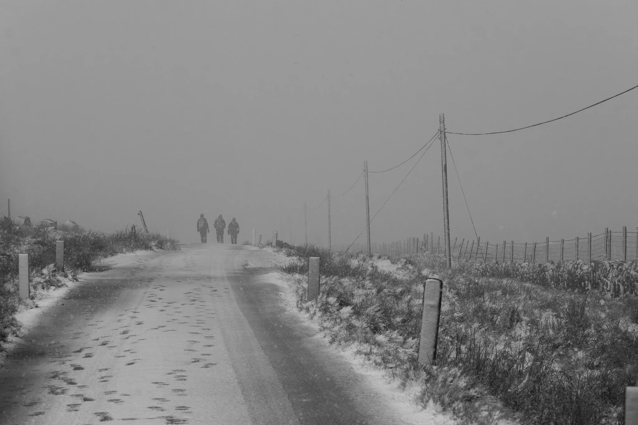 DSC_0479.jpg