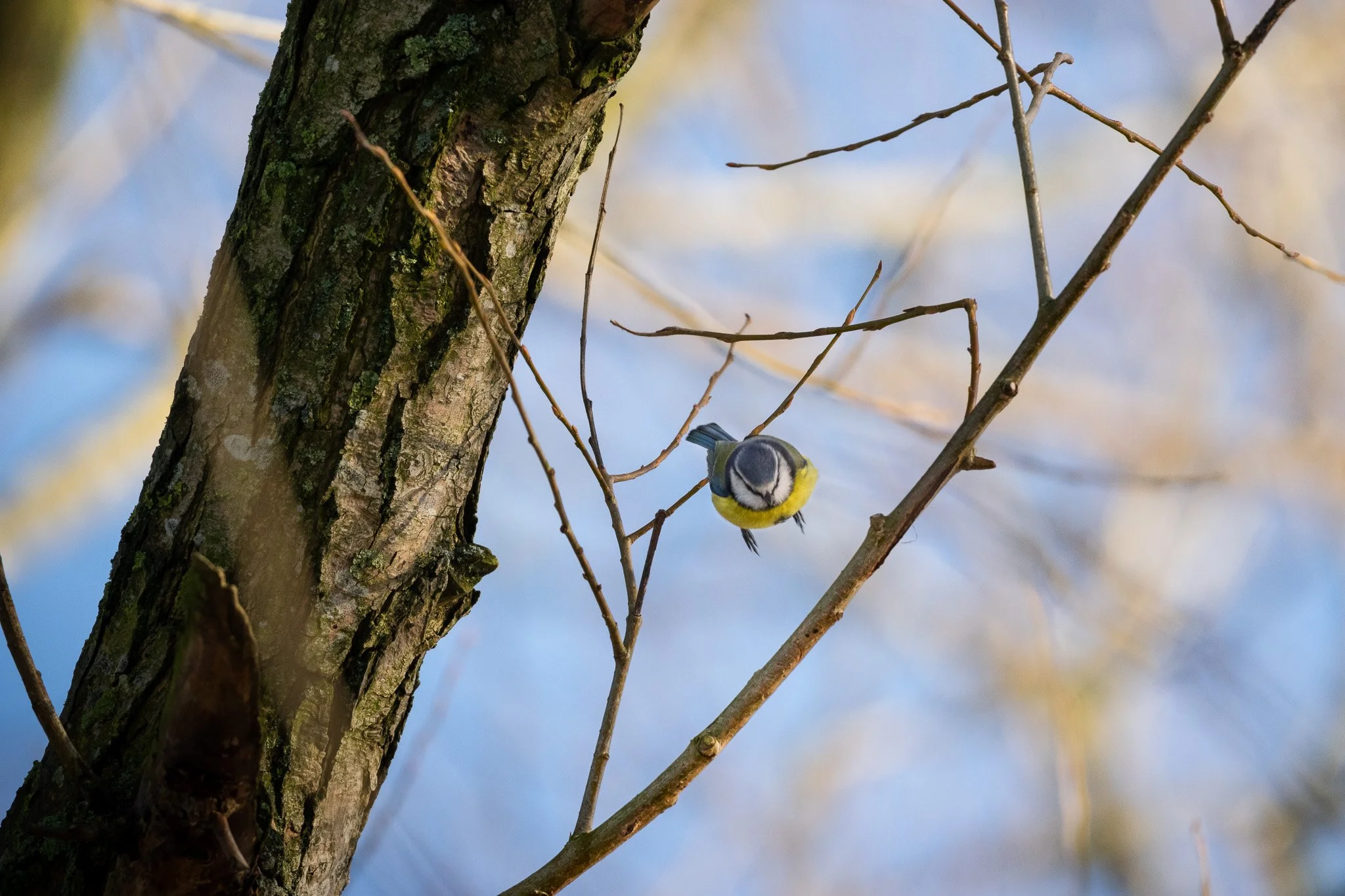DSC_0182.jpg