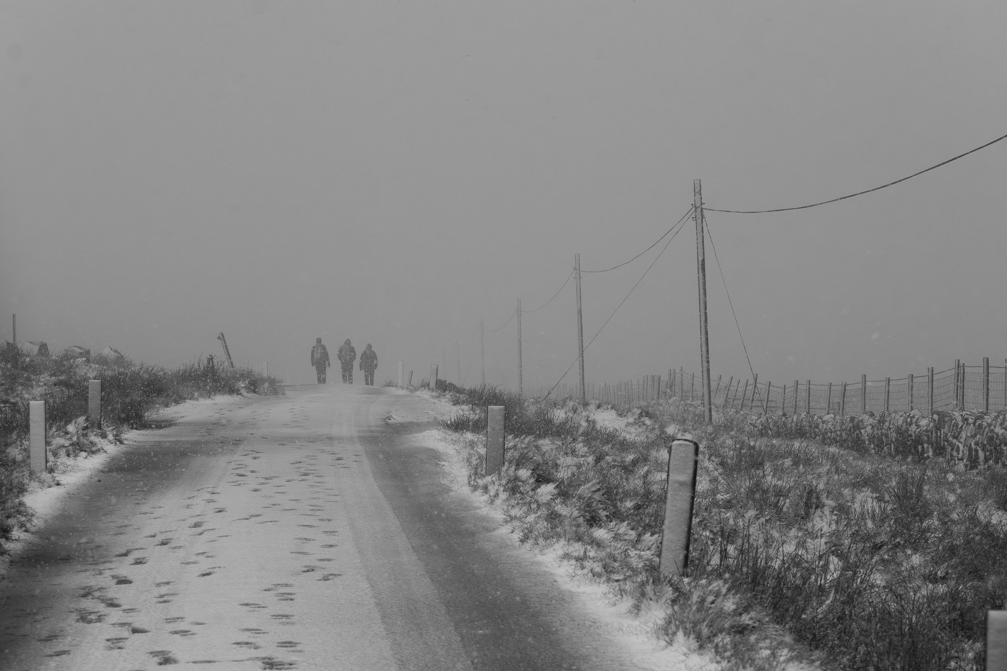 DSC_0479.jpg