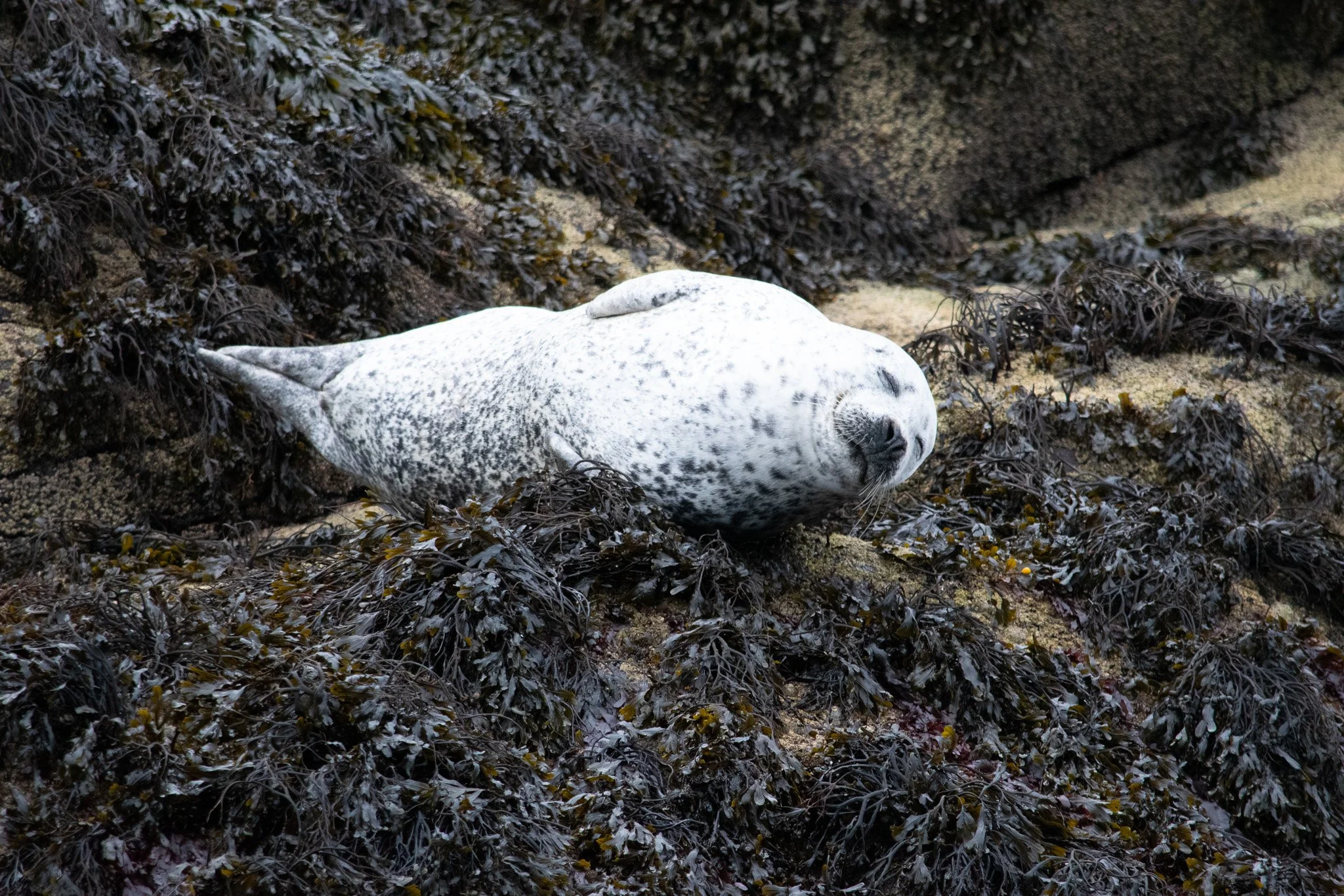 DSC_0336.jpg